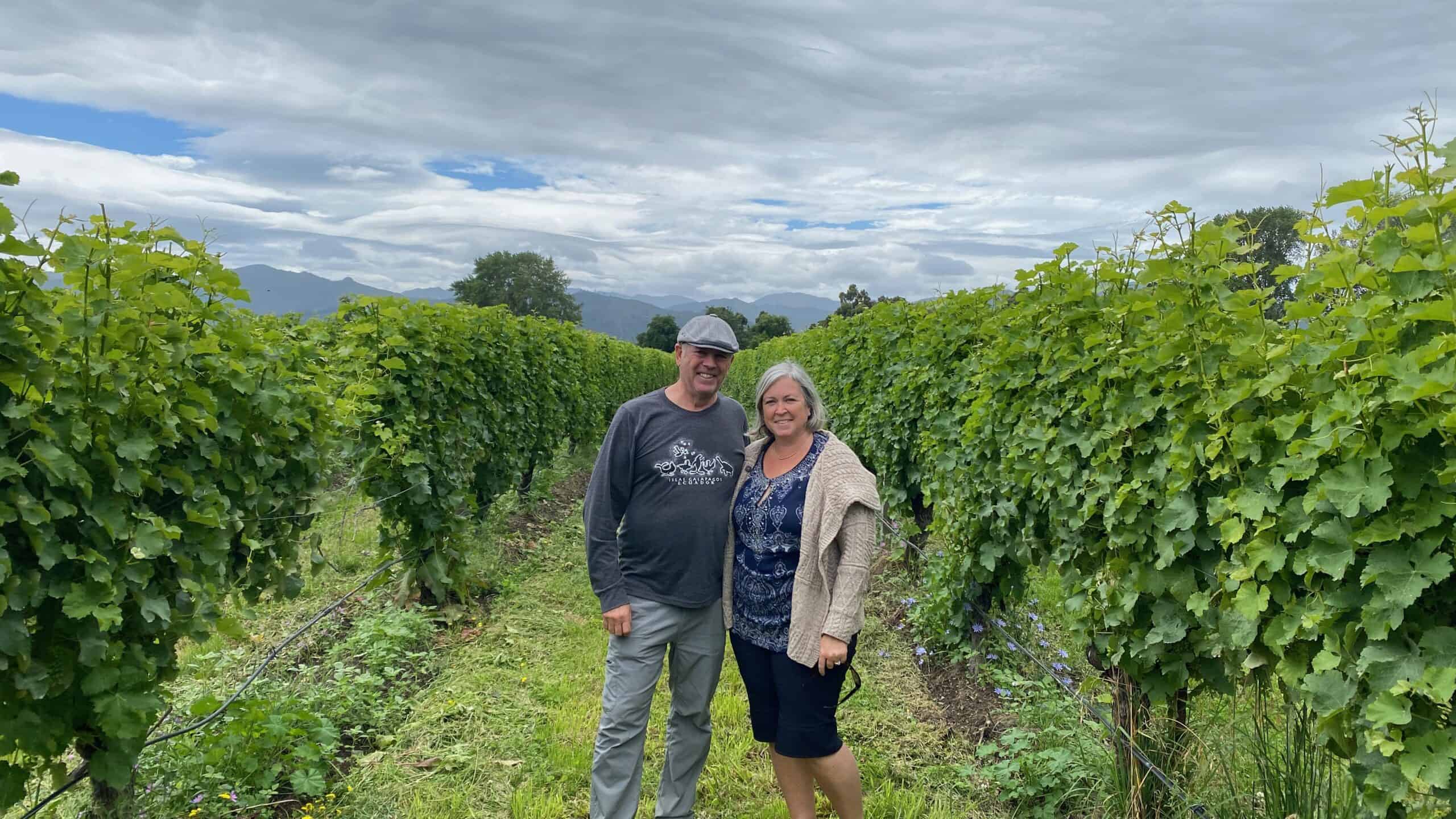 Amongst the vines in Marlborough