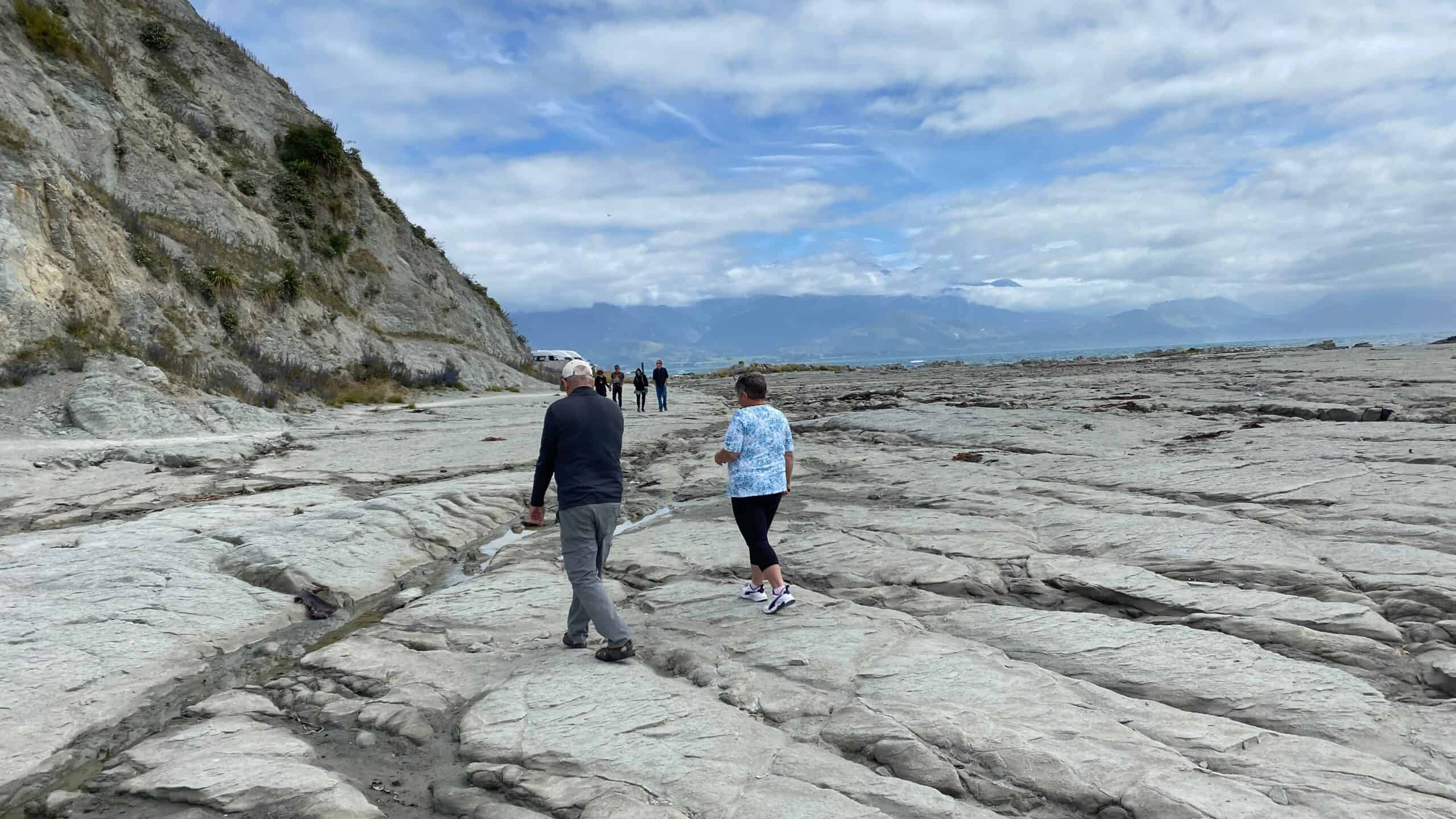 An area that rose out of the sea during the earthquake in Christchurch