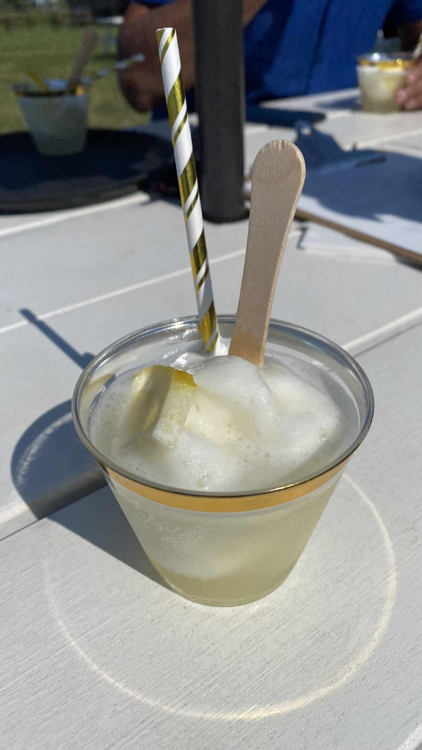 Sparkling sorbet float