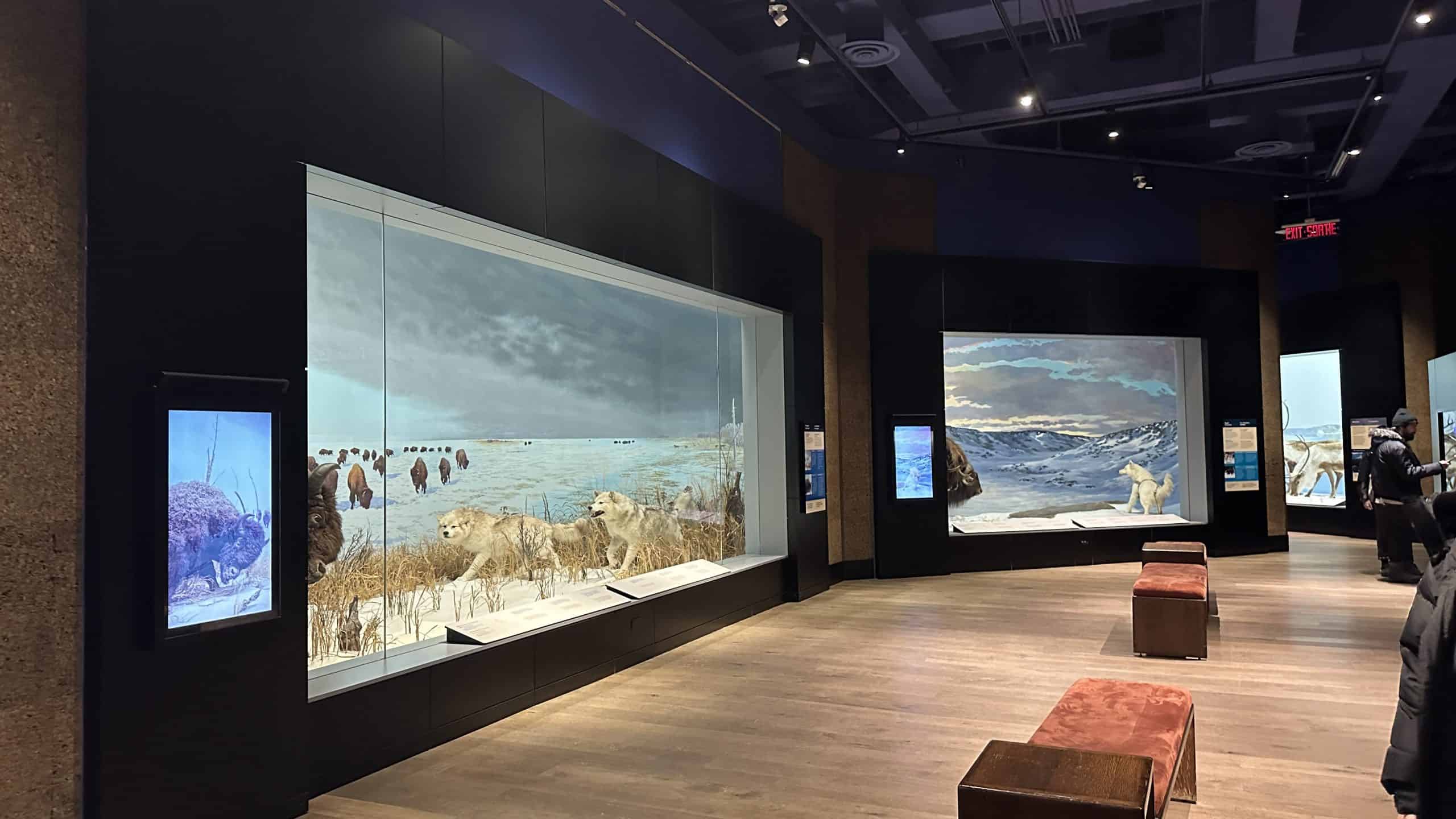 Polar exhibits