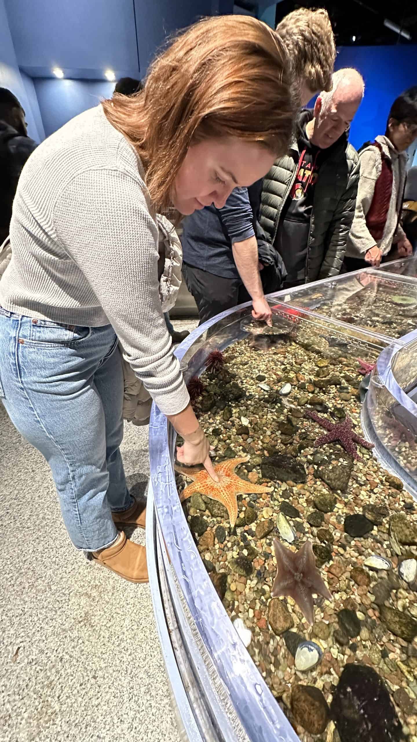 Touch tanks