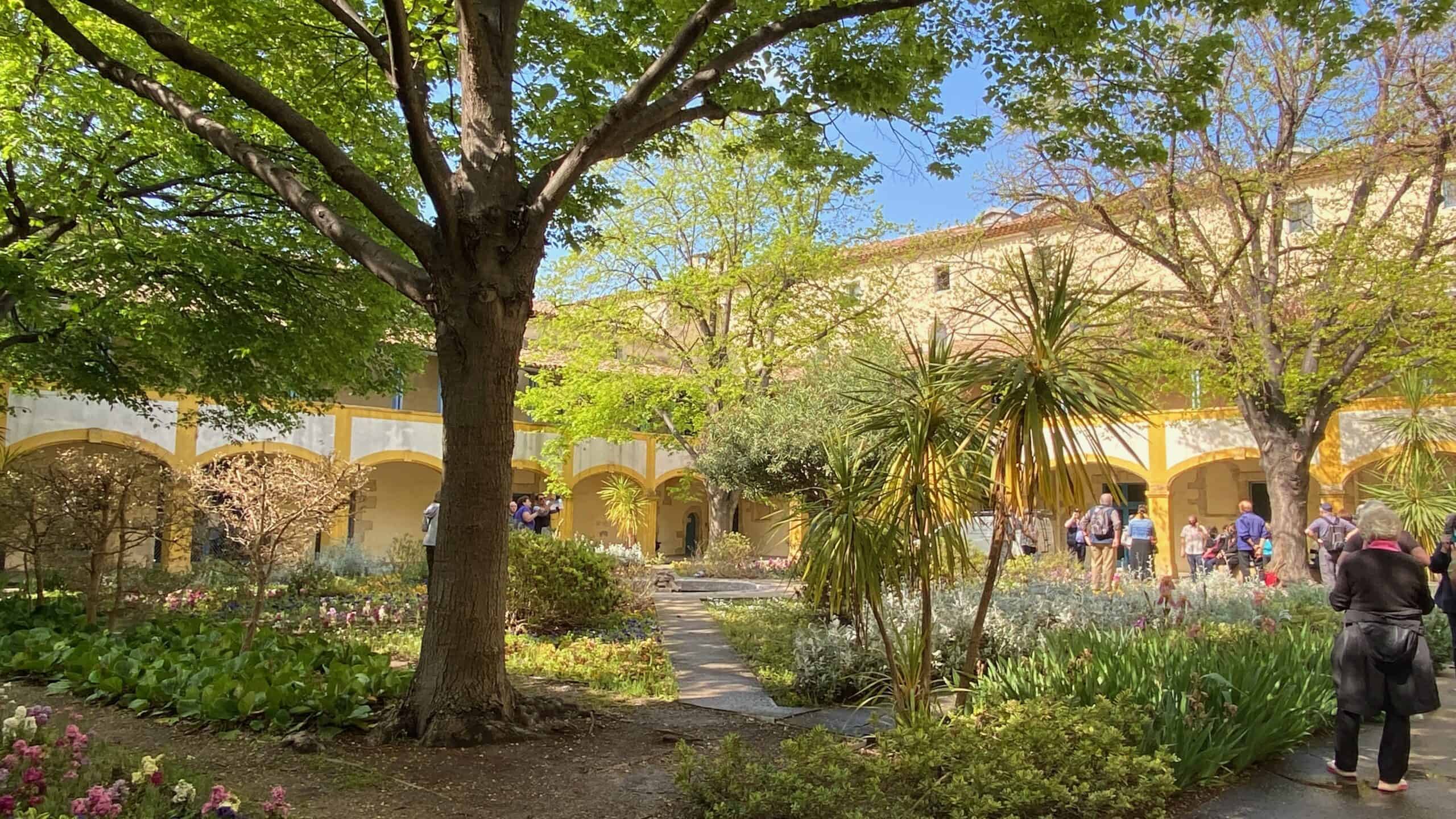 The Hotel Dieu garden