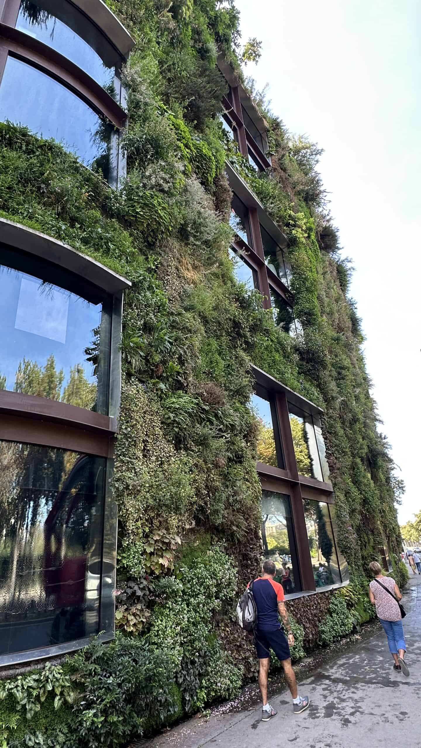 Living Wall