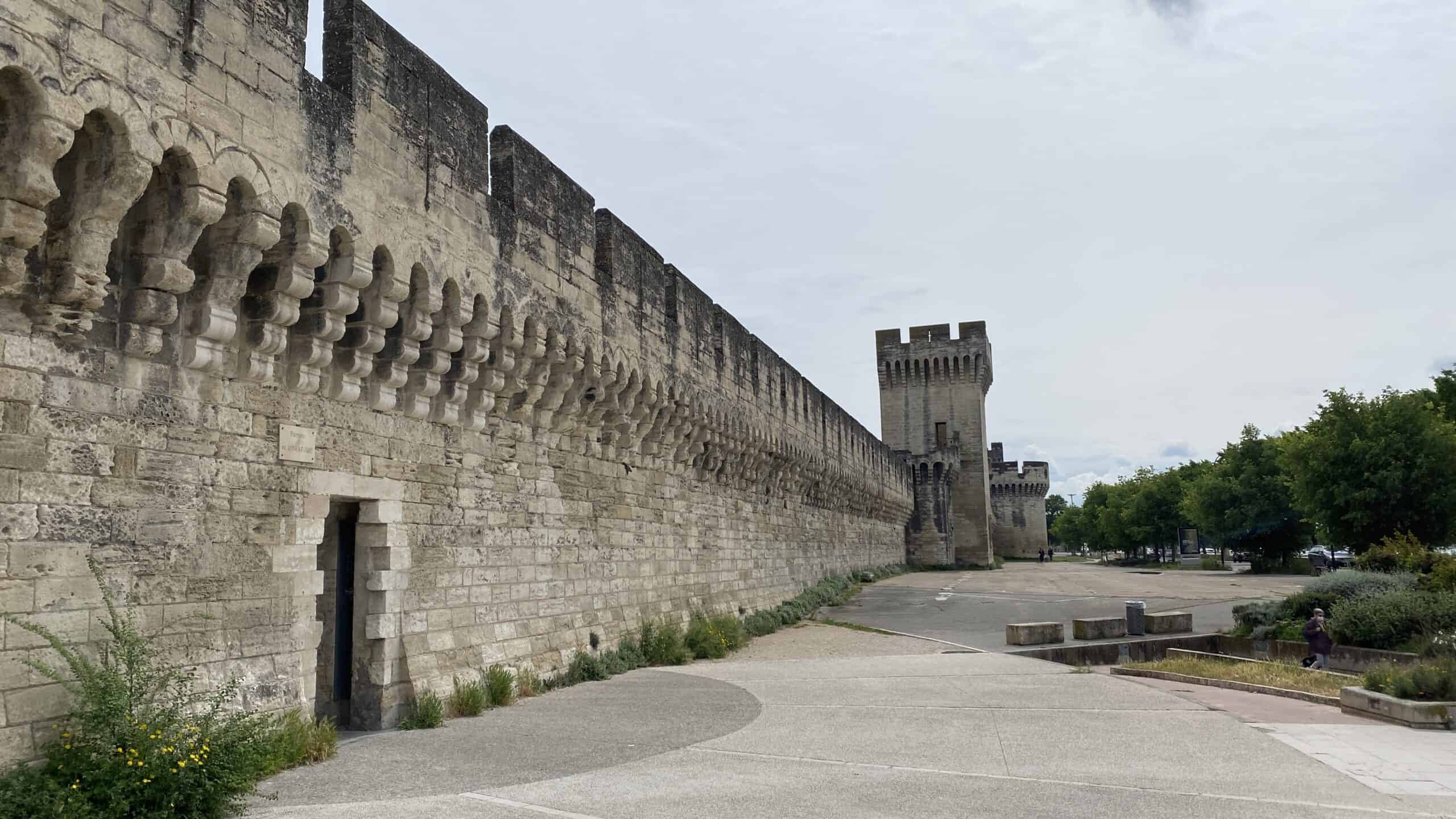 the walls of Avignon