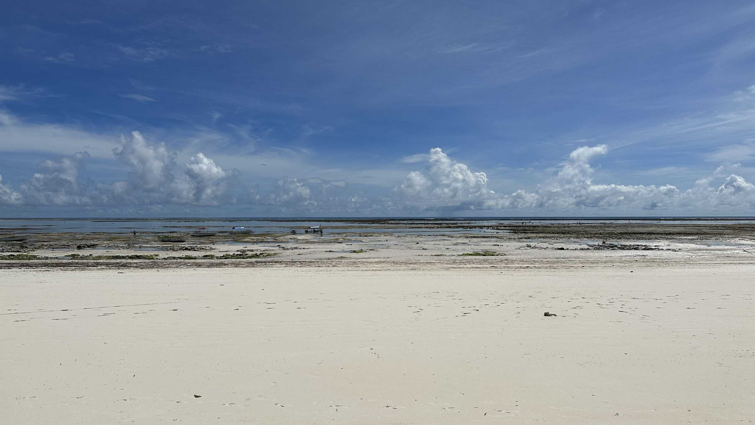 Low tide on the east coast