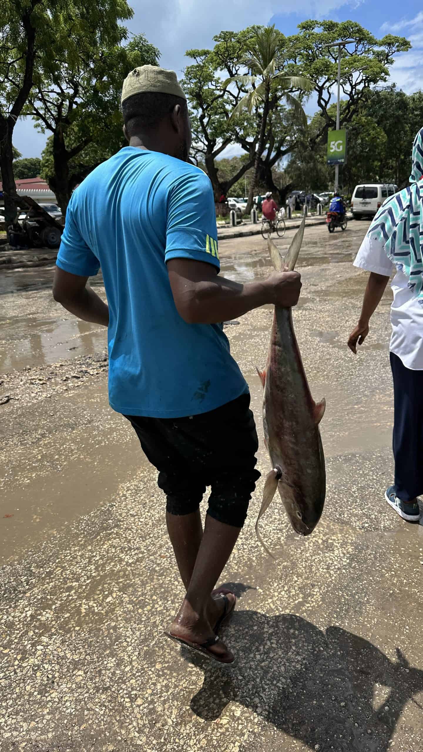 Taking fish home from the market
