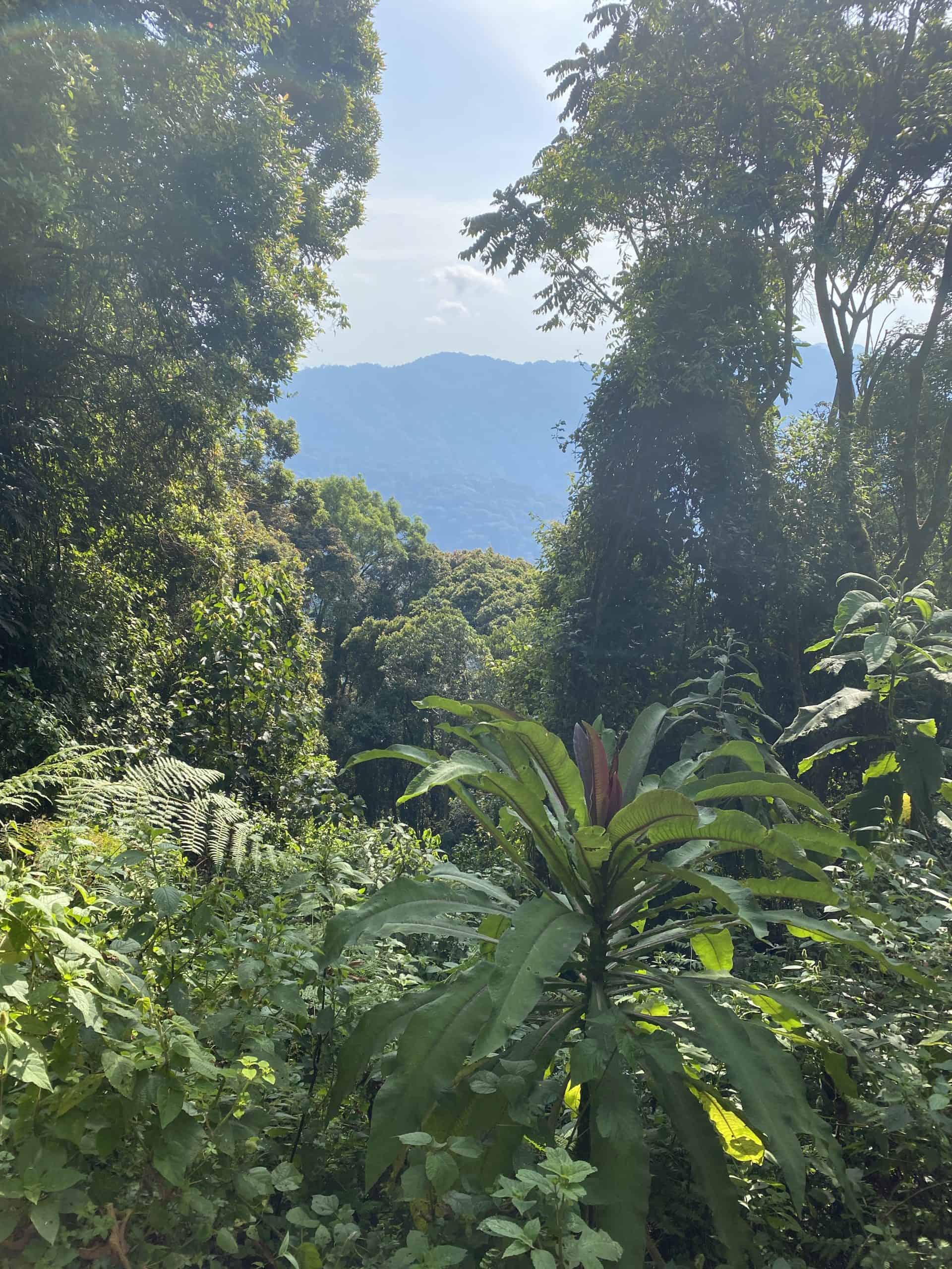 Beauty along the trail