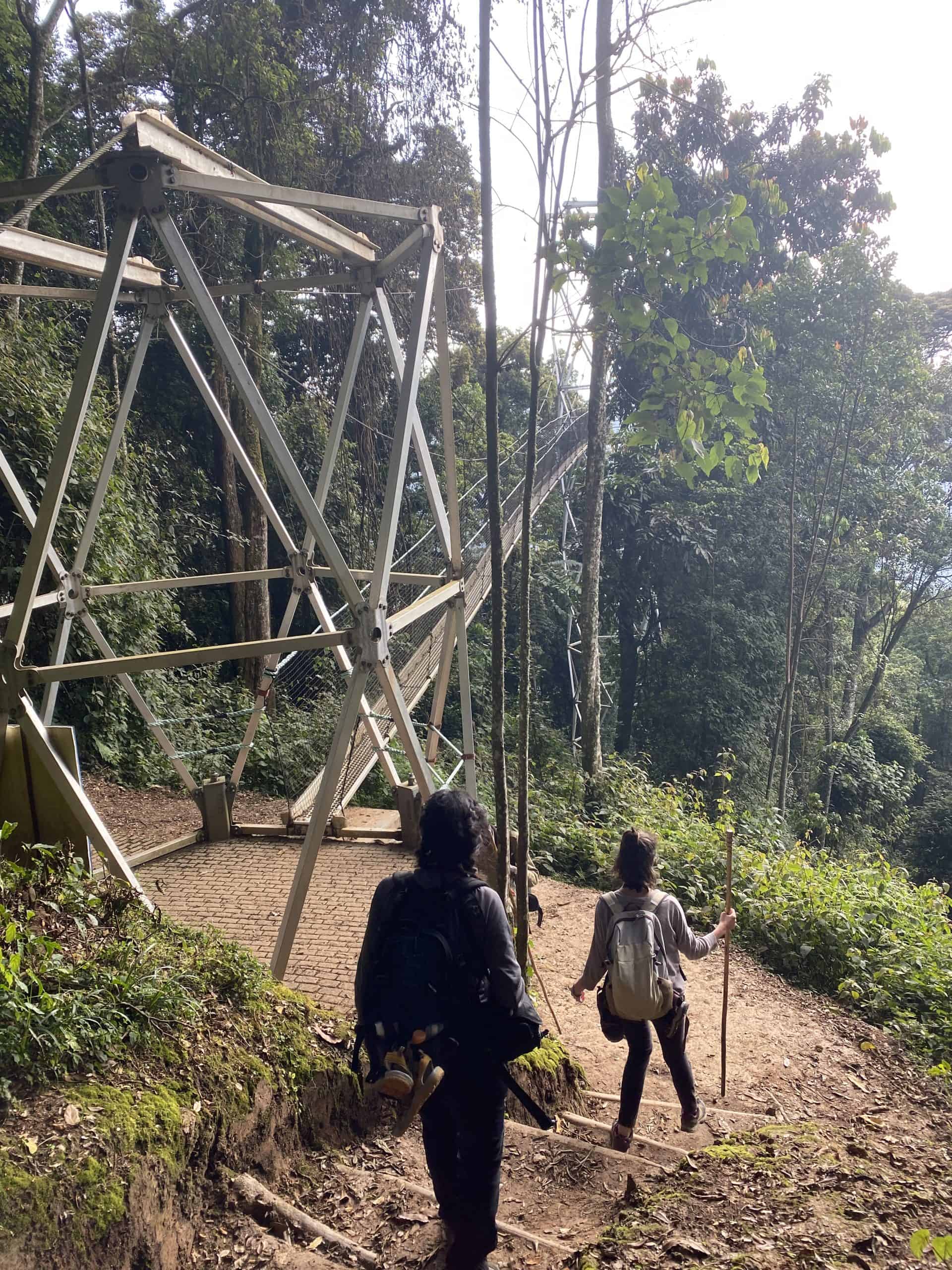 Bridge support