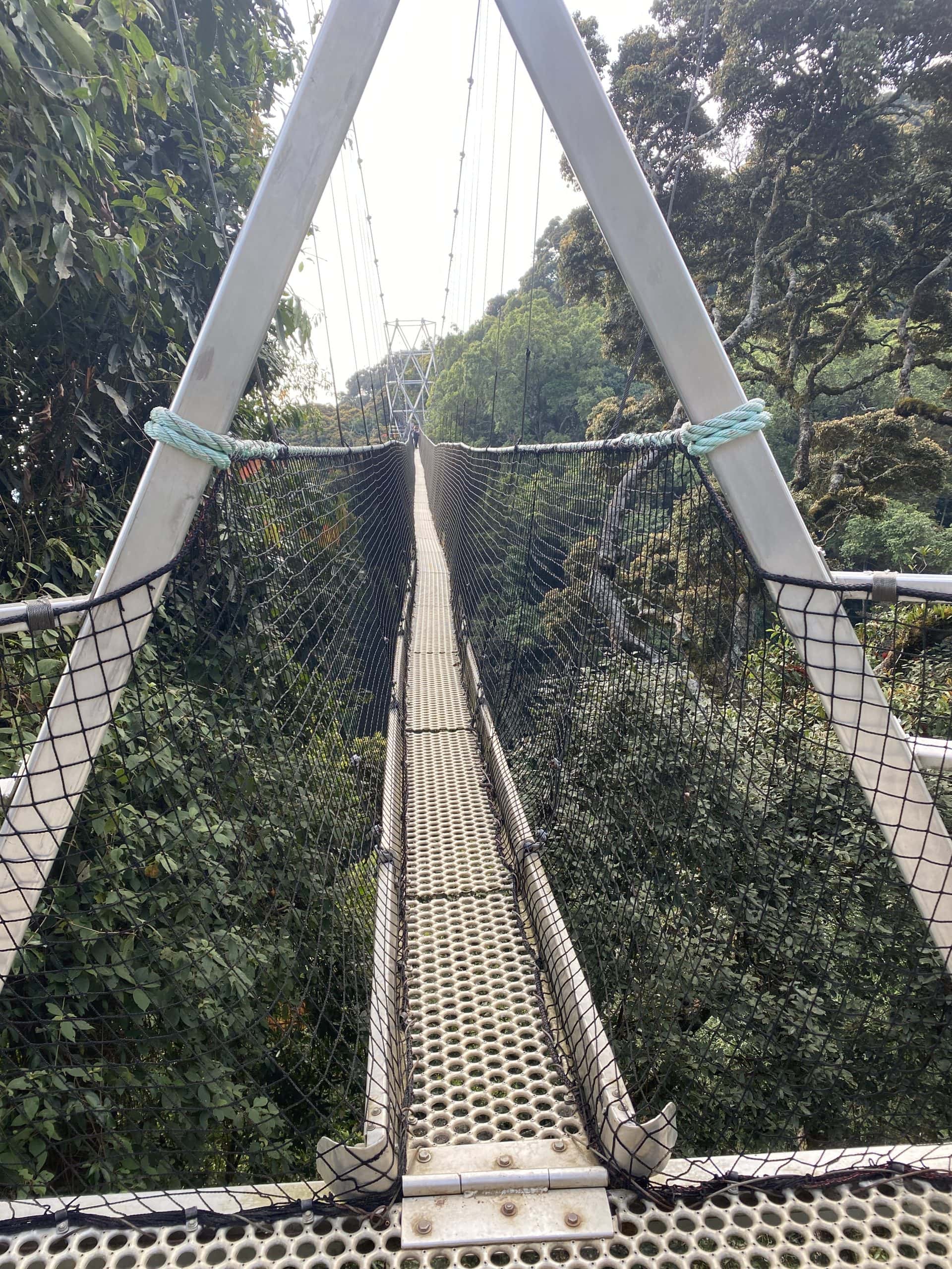 Entrance to the longest part