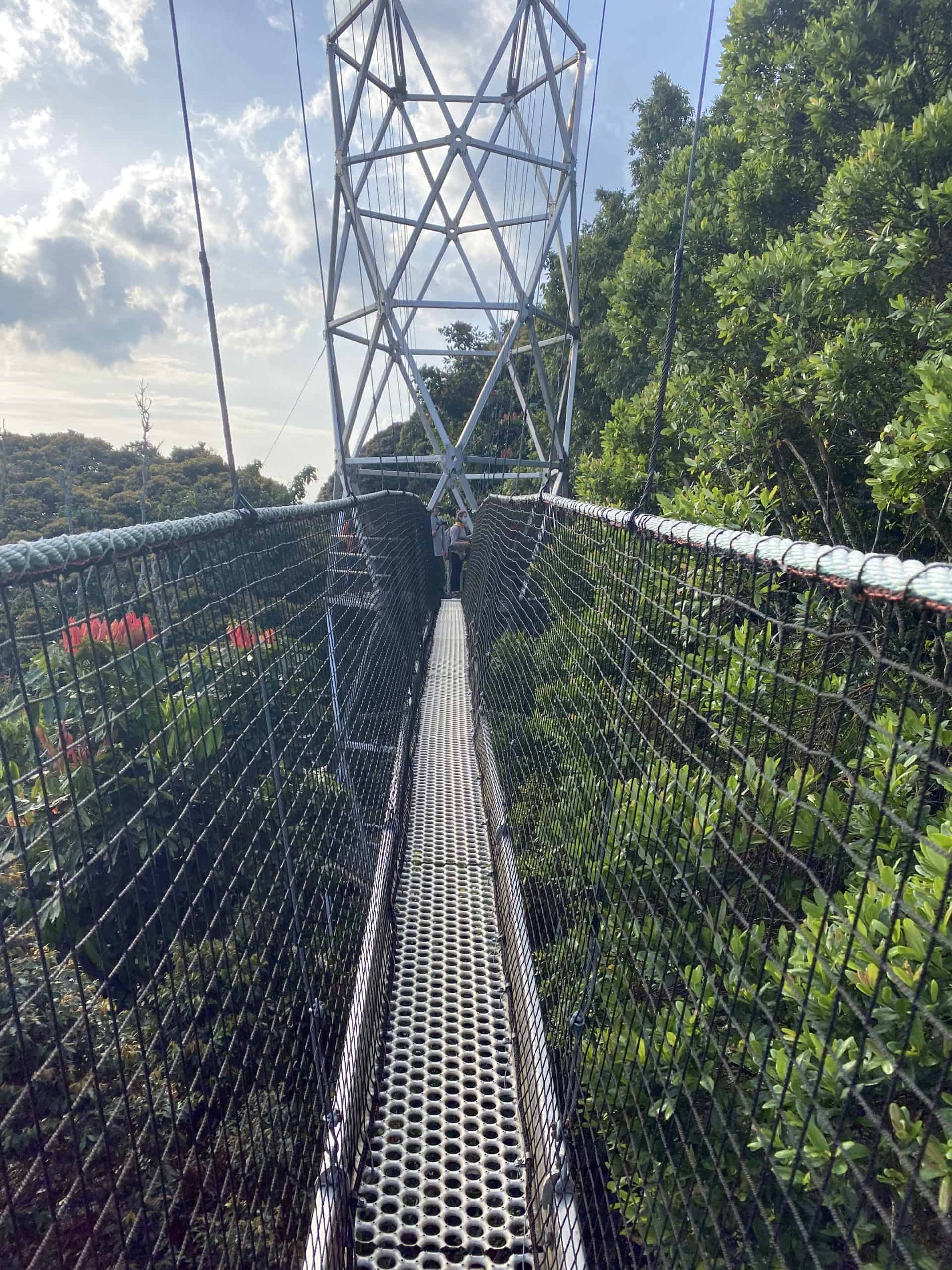 The Nyungwe Canopy Walk