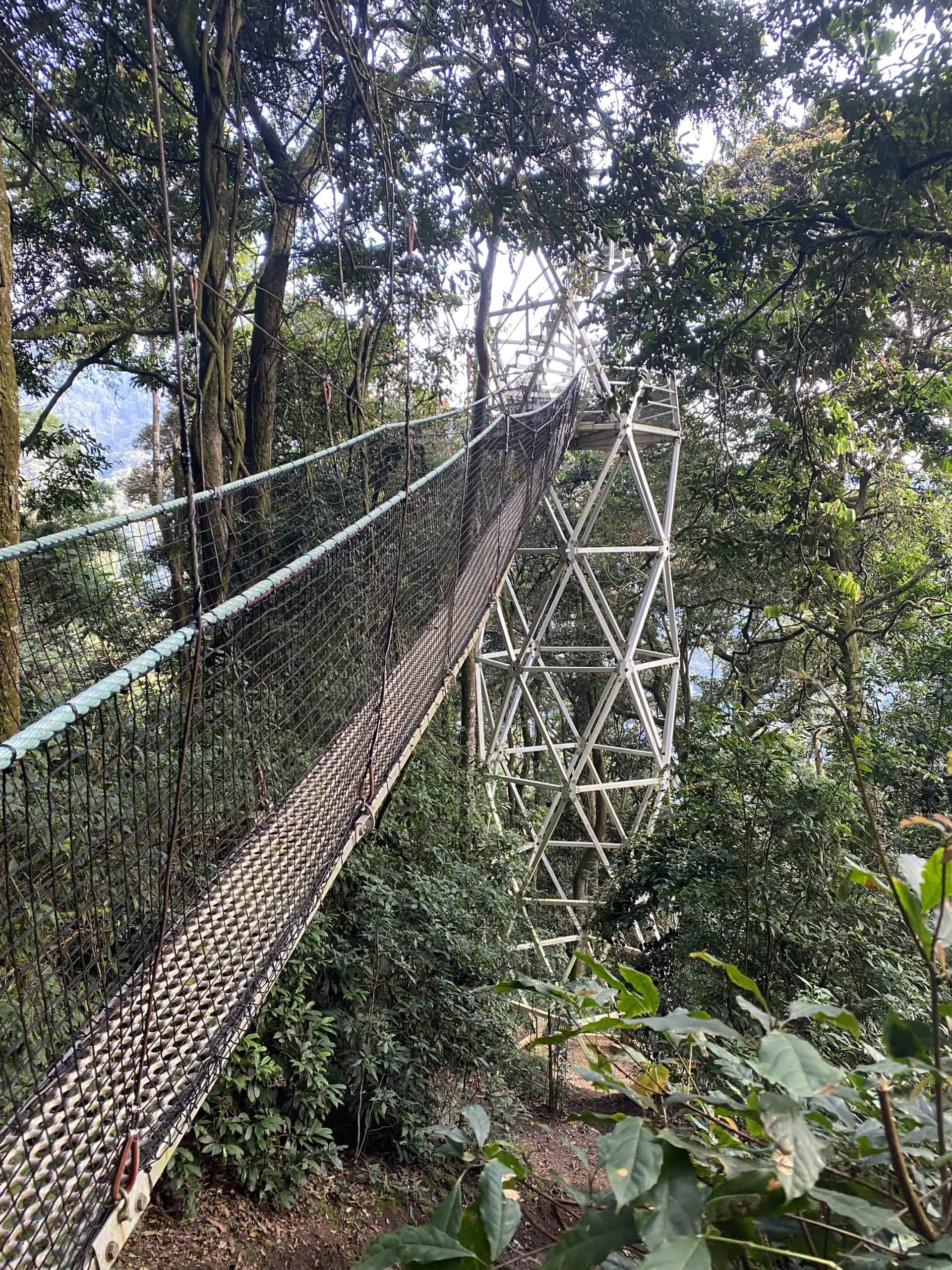 The final section