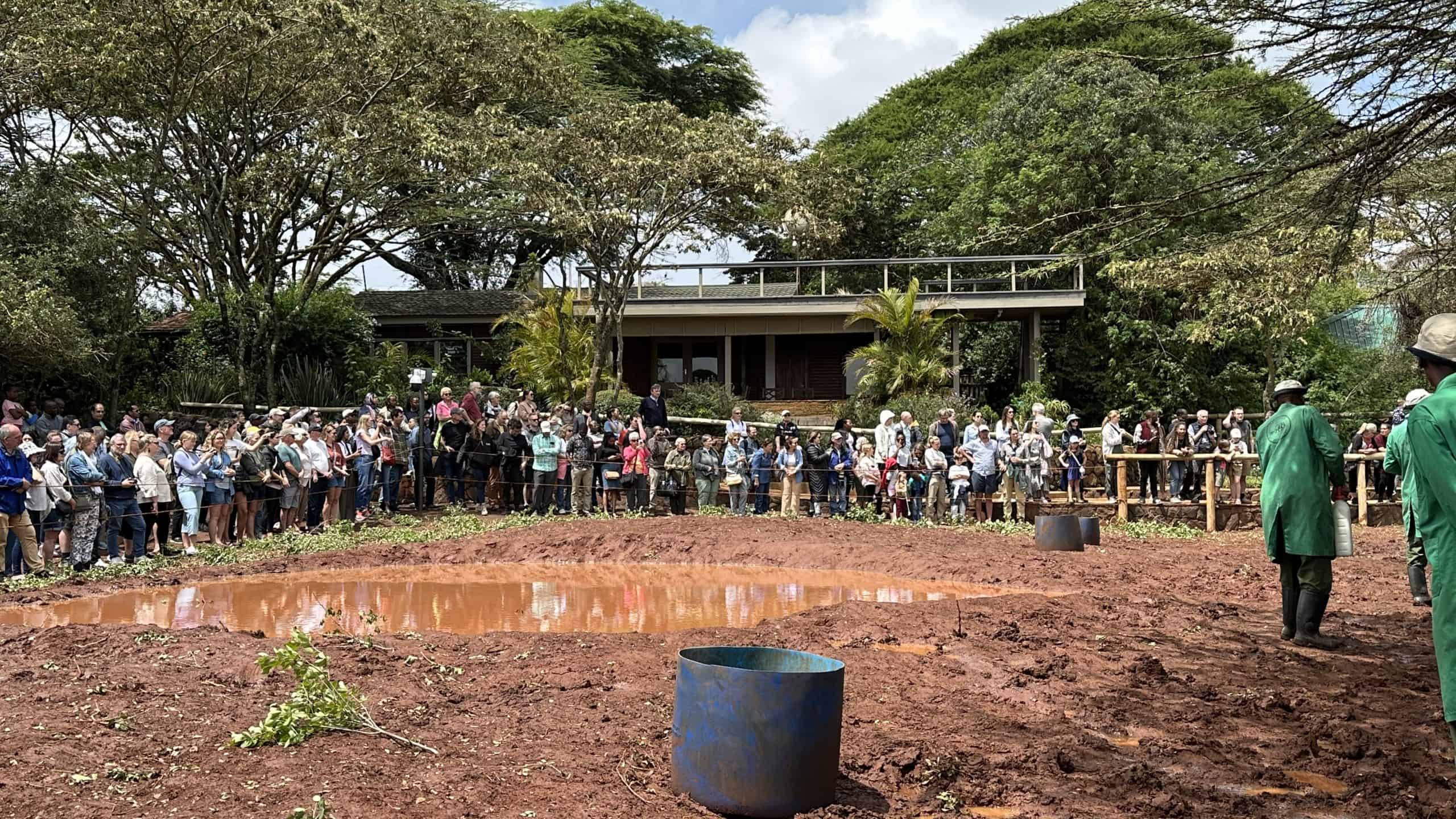 Elephant display area