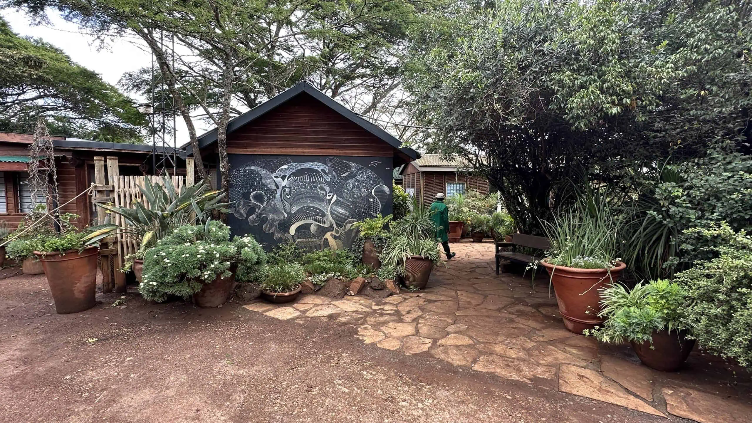 Entrance to the Sheldrick nursery