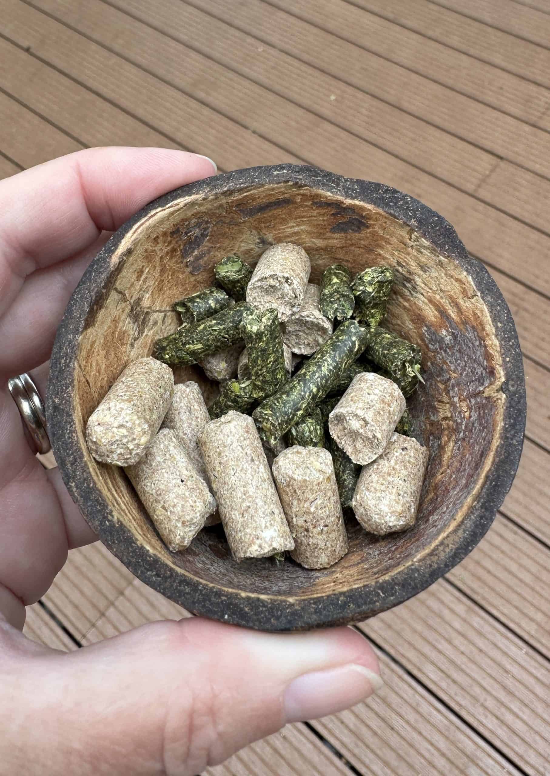 pellets for feeding the giraffes