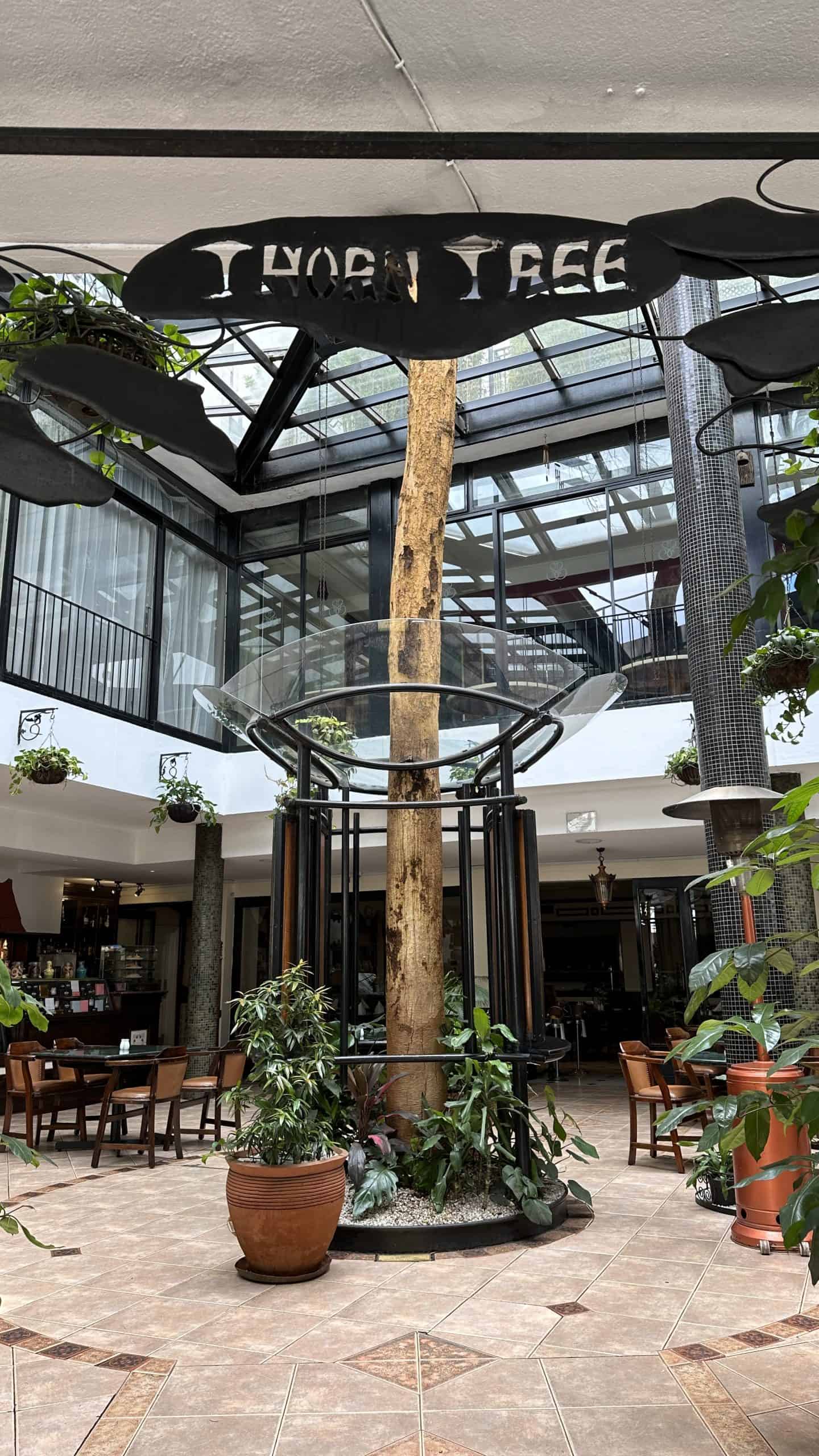 Thorn Tree Cafe