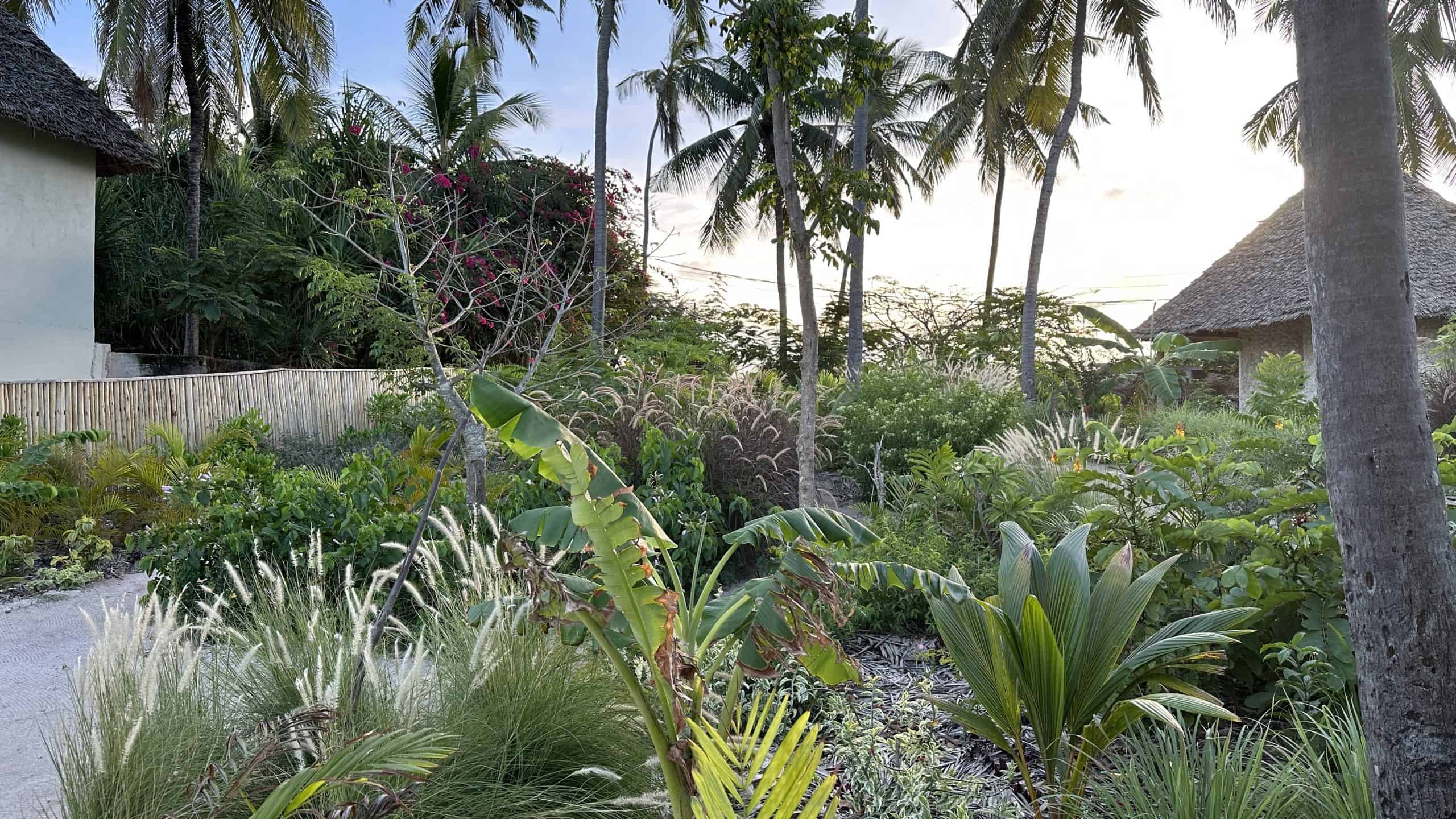 Gardens leading to the Rock Restaurant Zanzibar