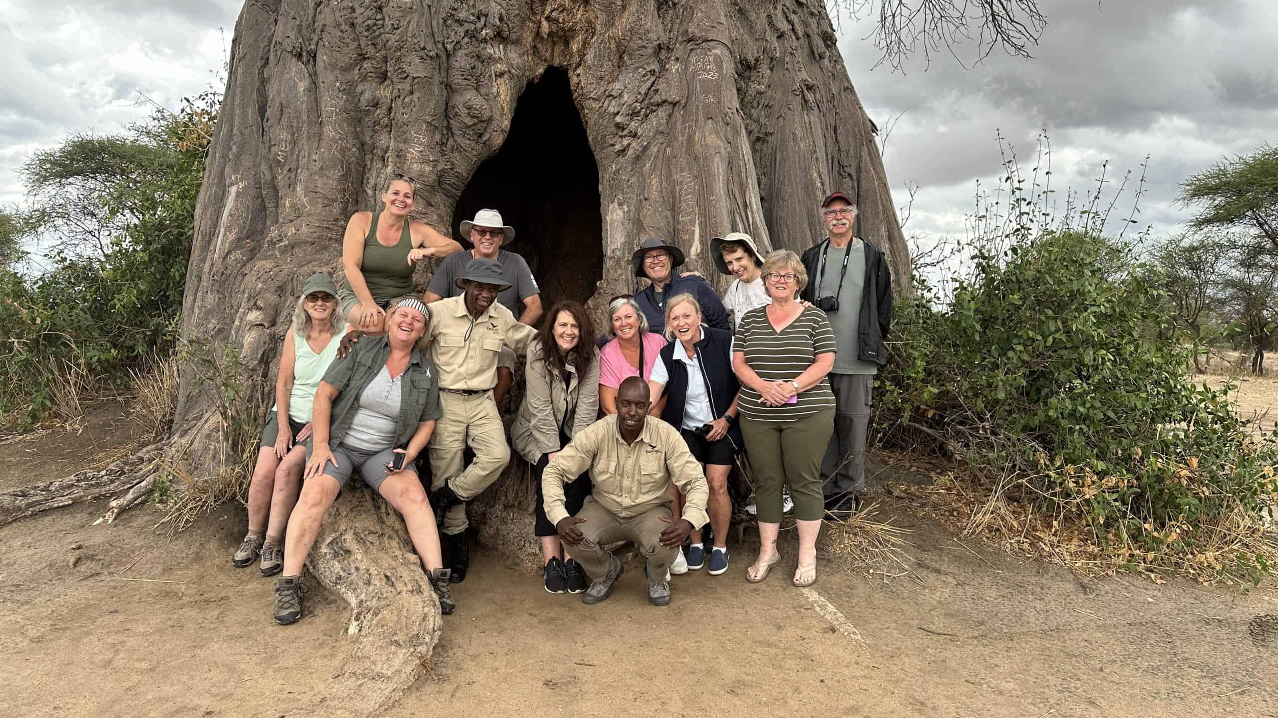 A massive baobab tree in Tarangire National Park