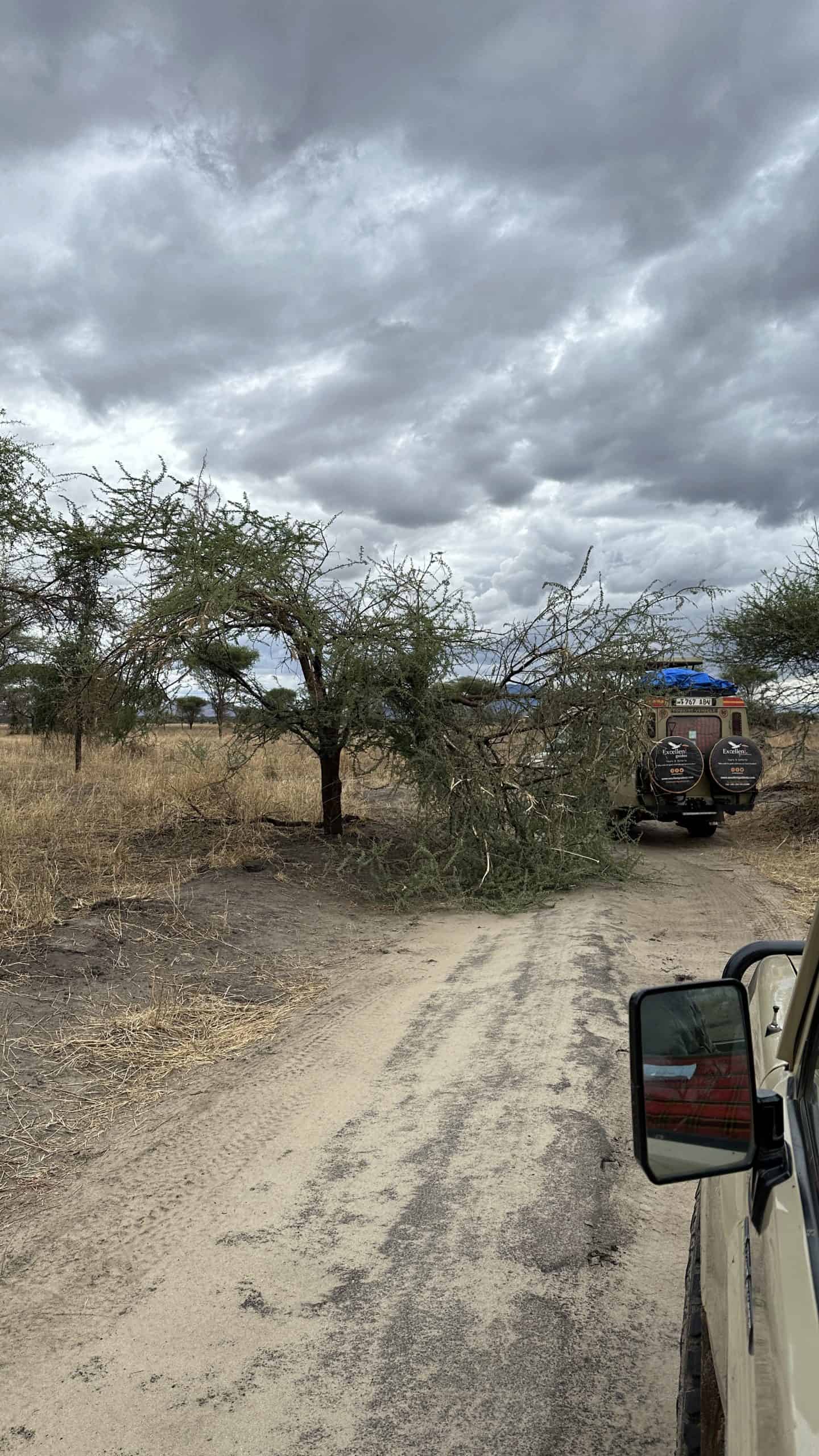 Rough roads with obstacles