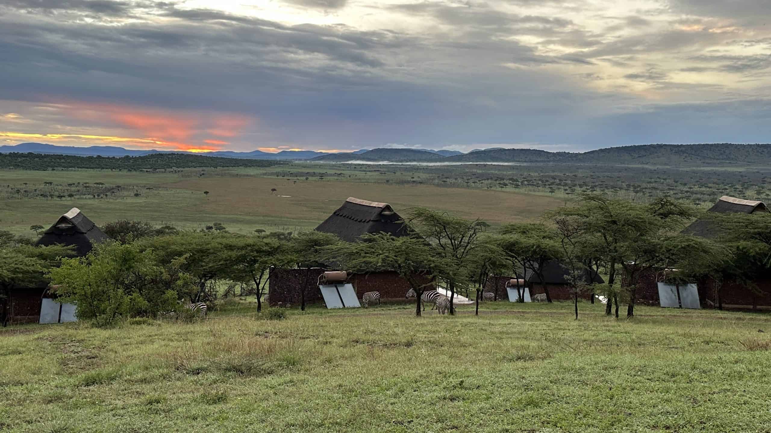 Our view from our lodge with zebra on the grass