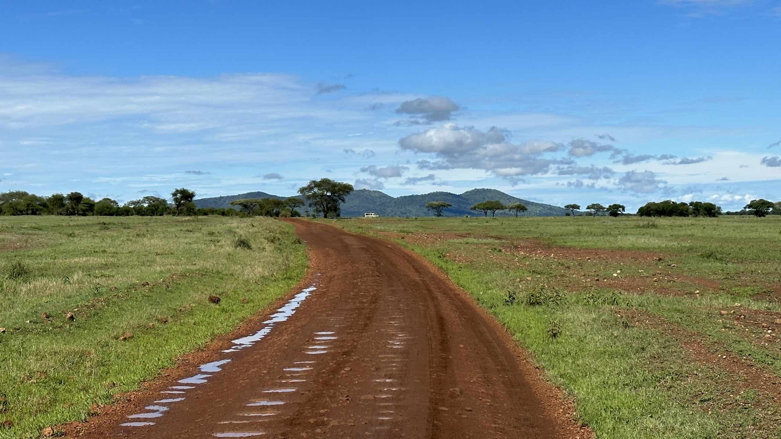 Landscape of the Serengeti