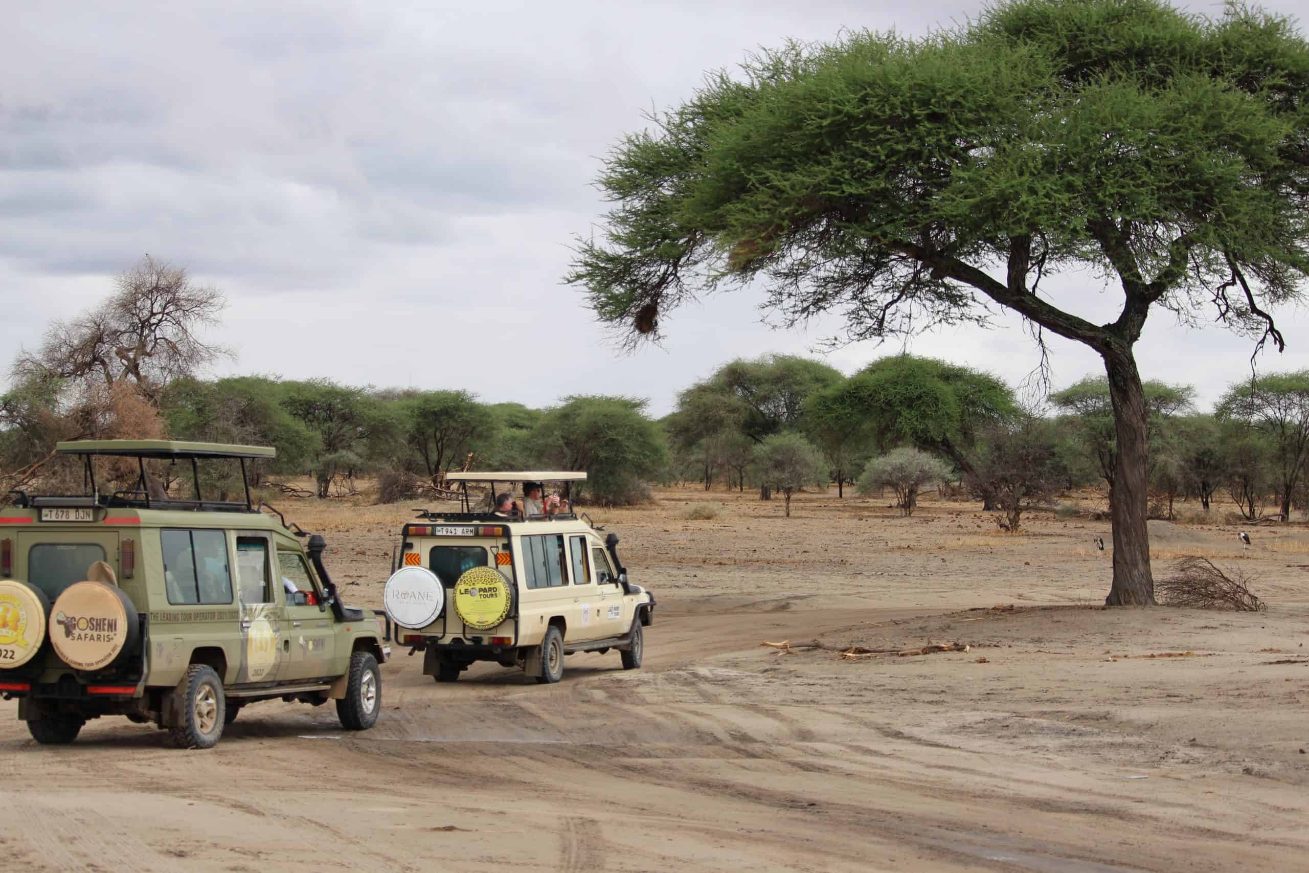 Safari vehicles in Tarangire