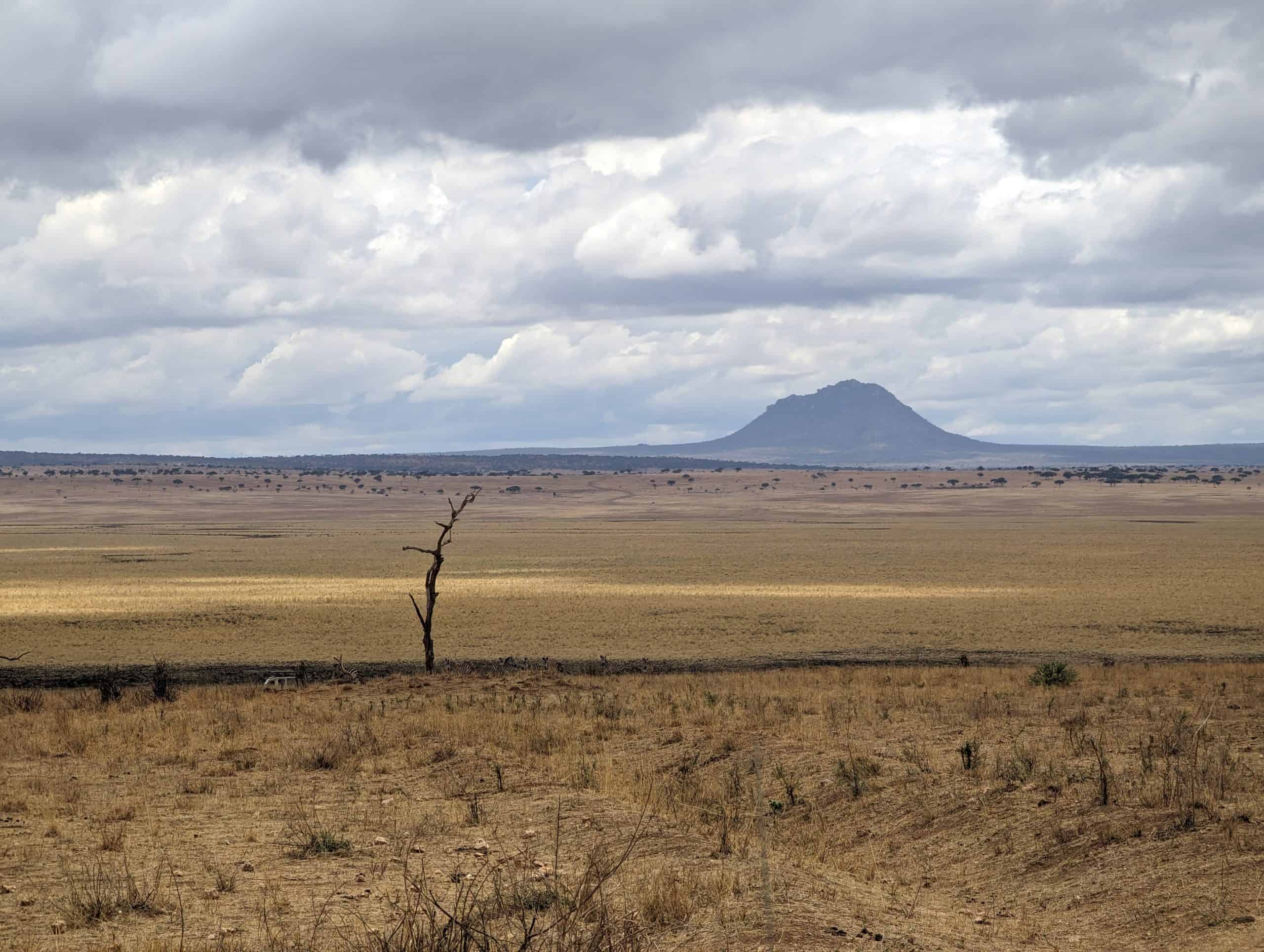 Silale swamp