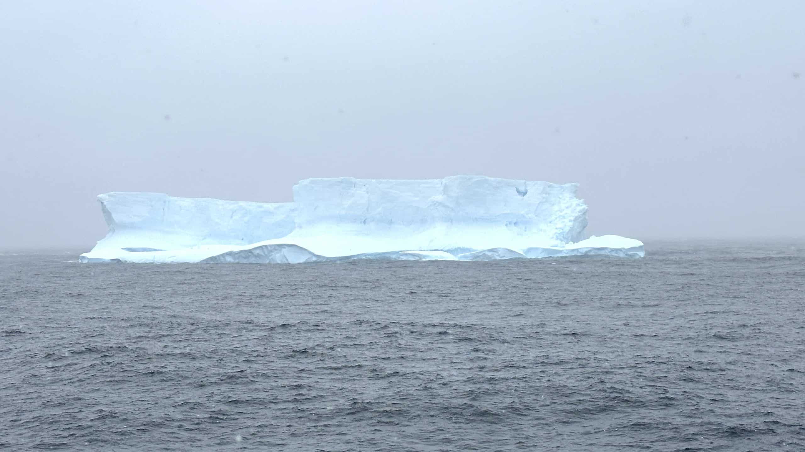 Our first iceberg