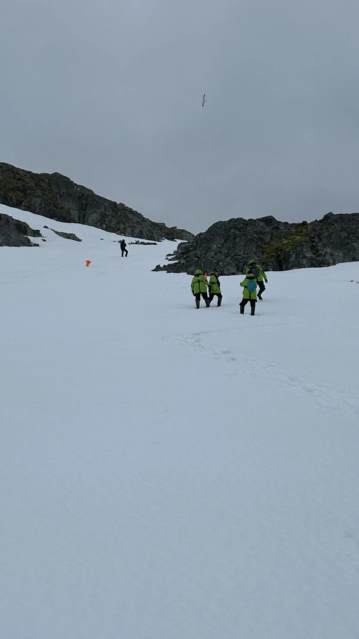 Trekking in the snow