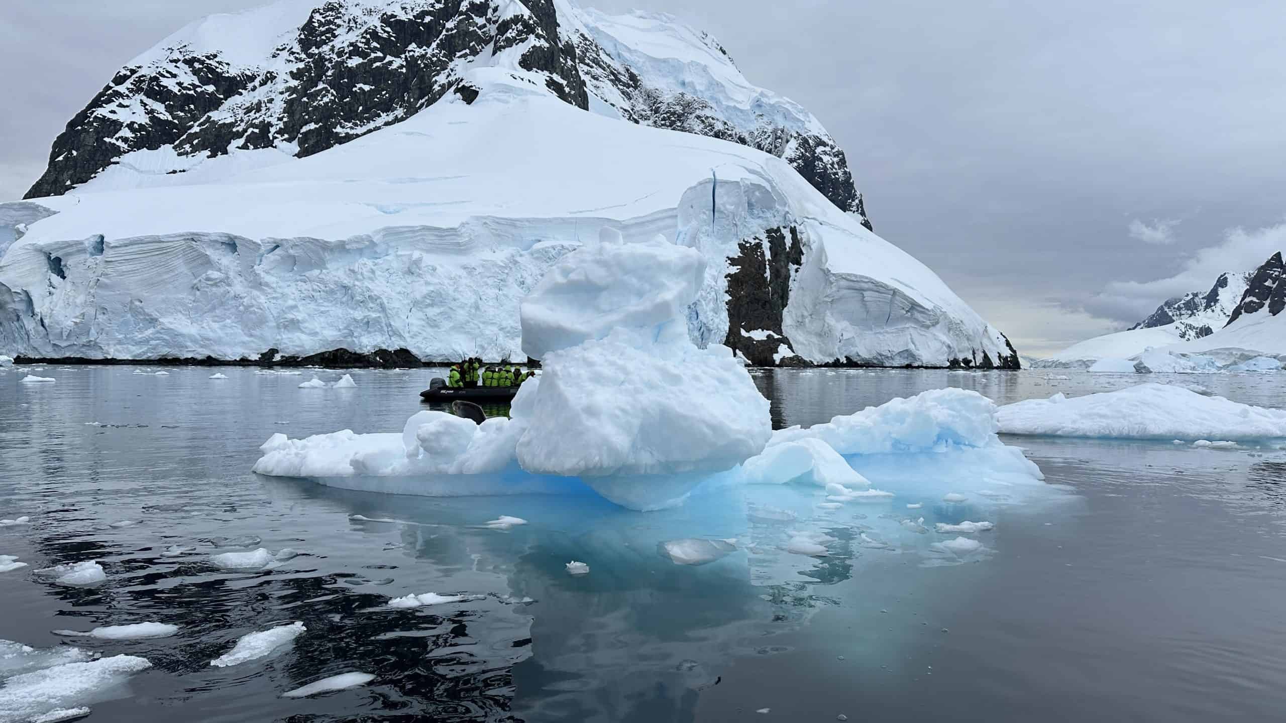 Stunning icebergs in the Bay