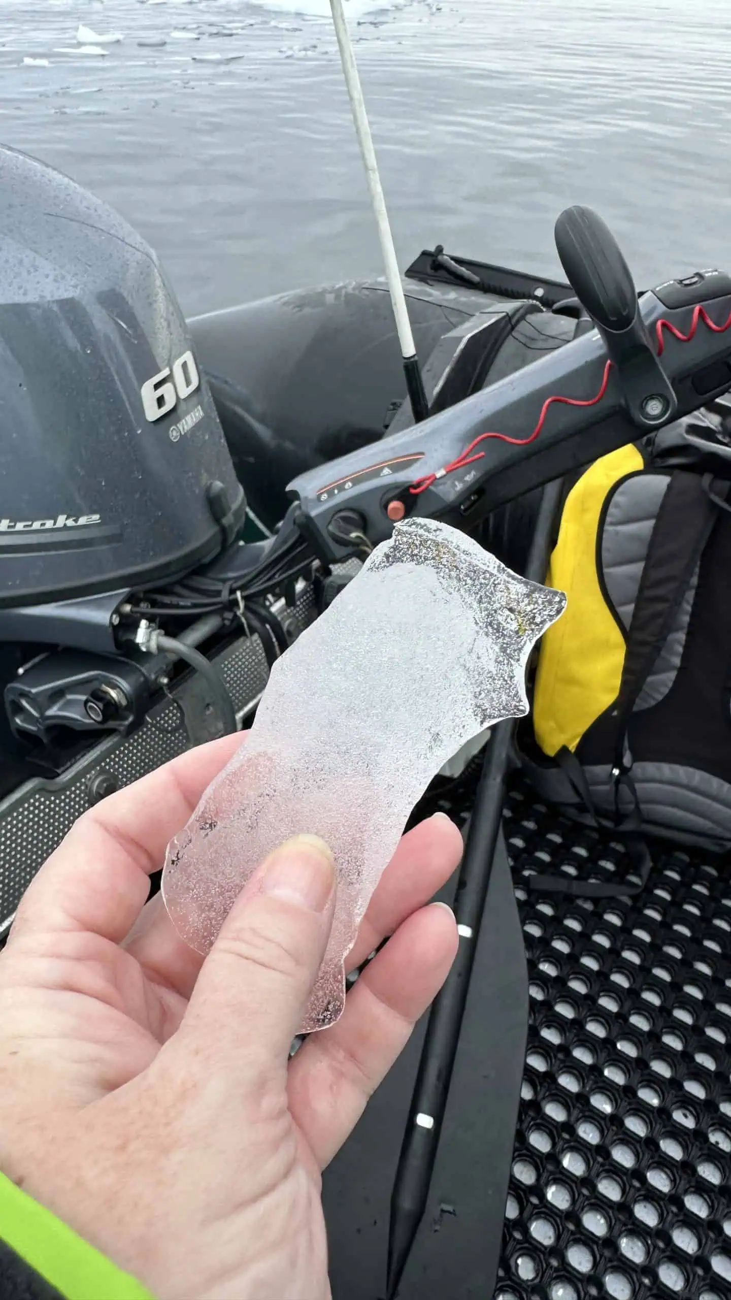 A piece of Antarctic ice
