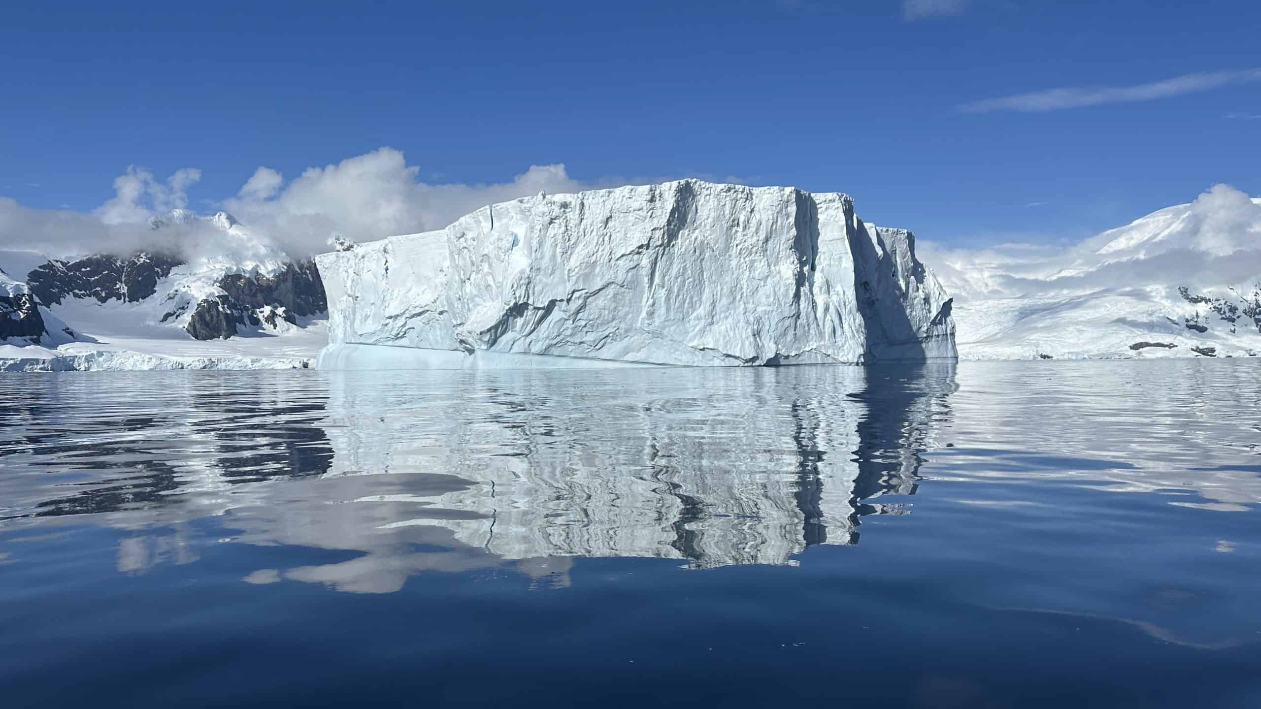 Beautiful icebergs