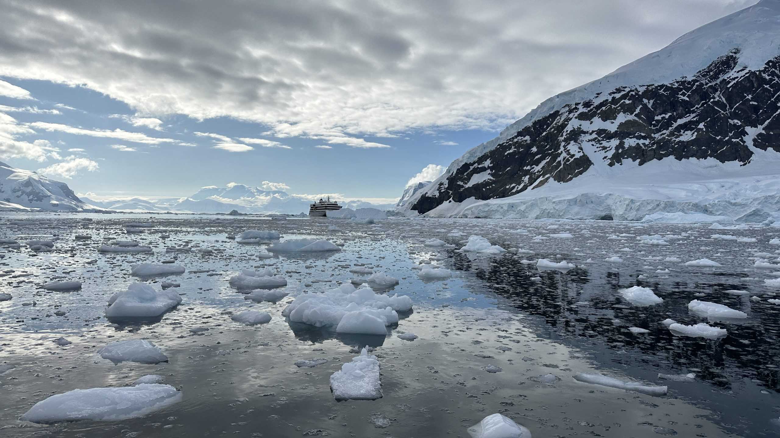 Loads of ice in the water due to calving glaciers