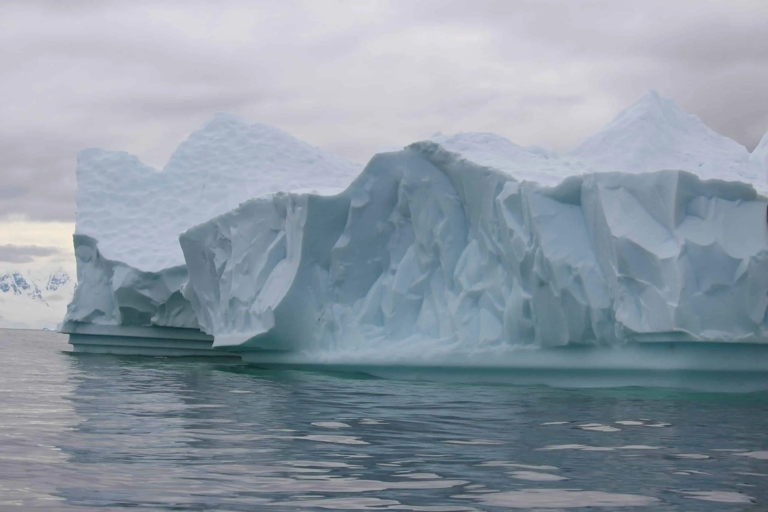 Iceberg in Charlottes Bay