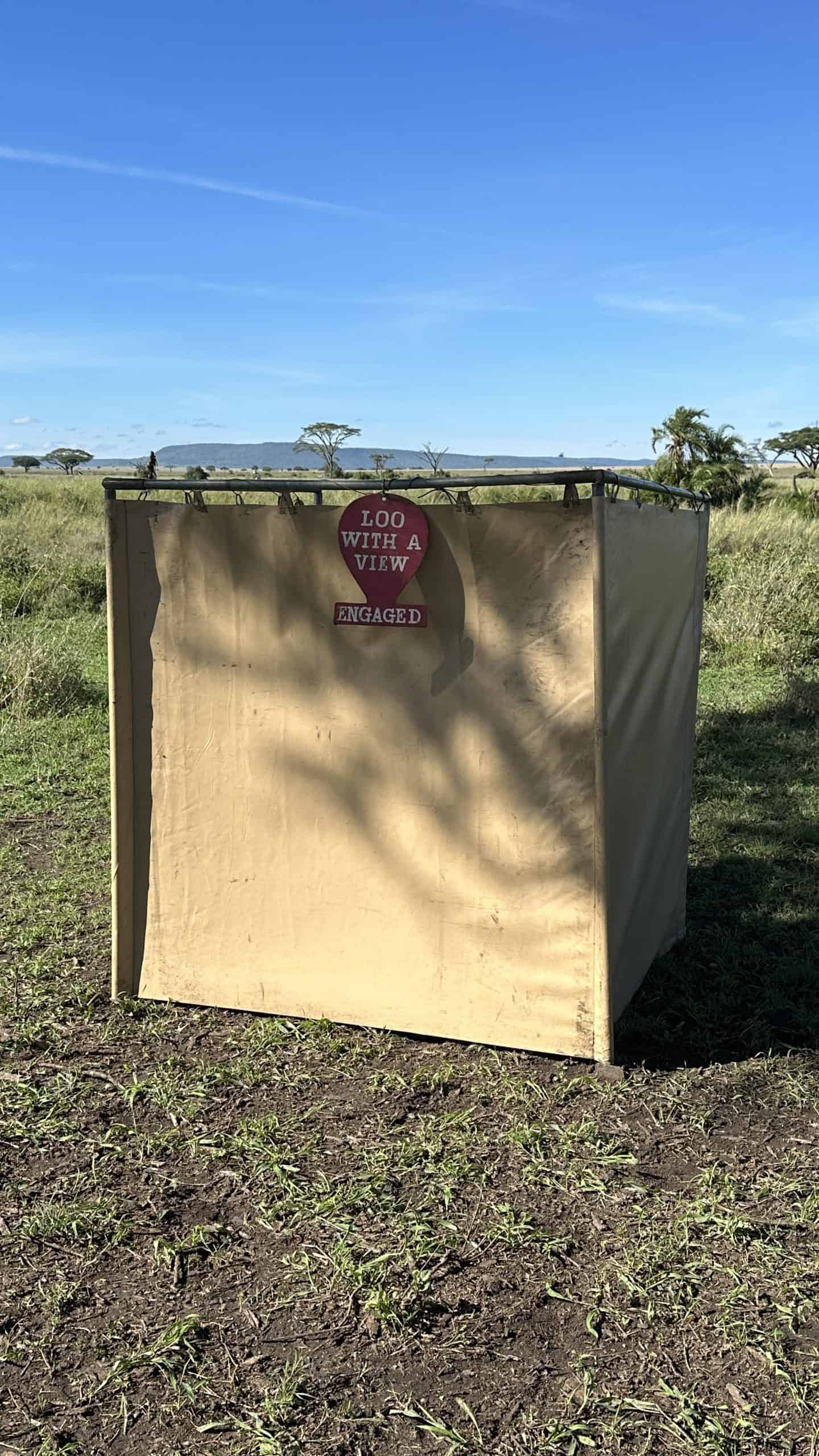 Toilet area