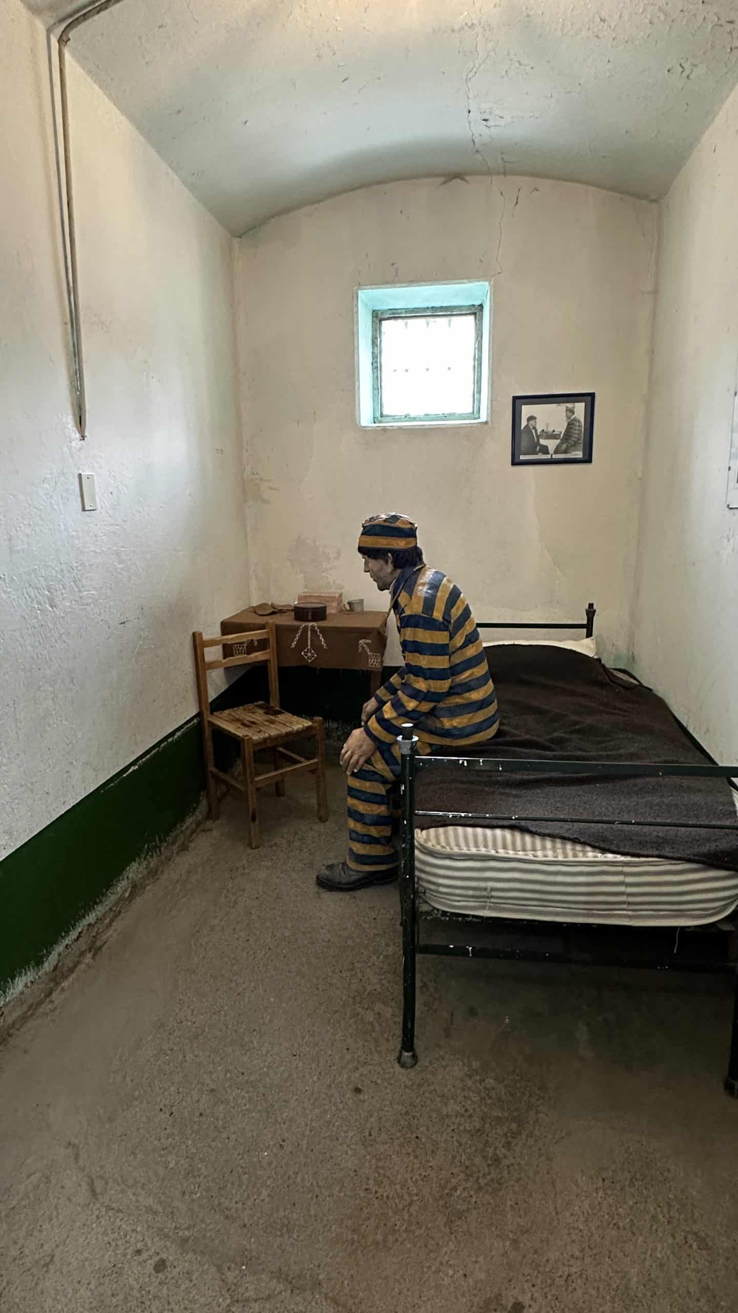 Mannequins in the cells