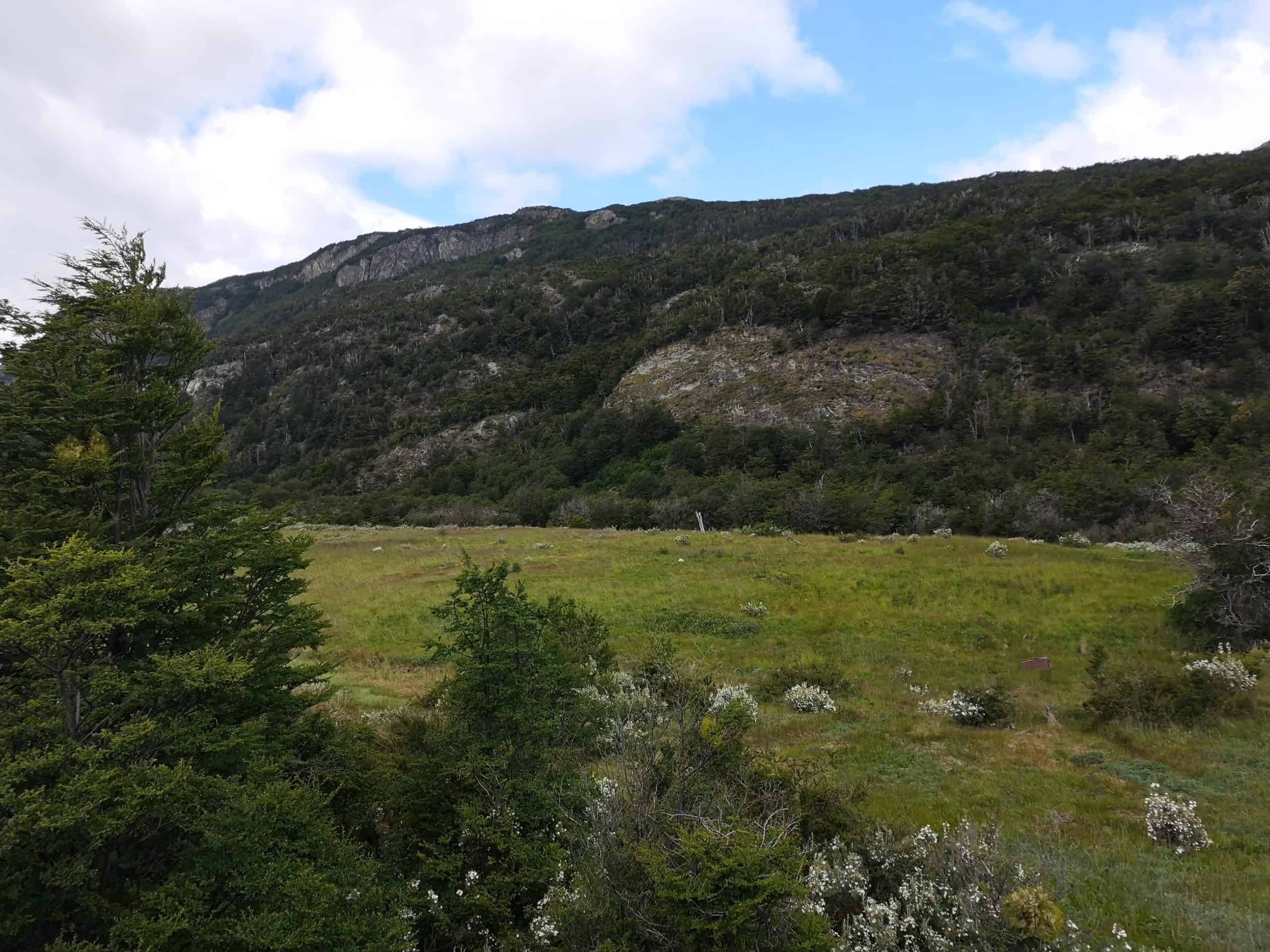 The green valleys of the park