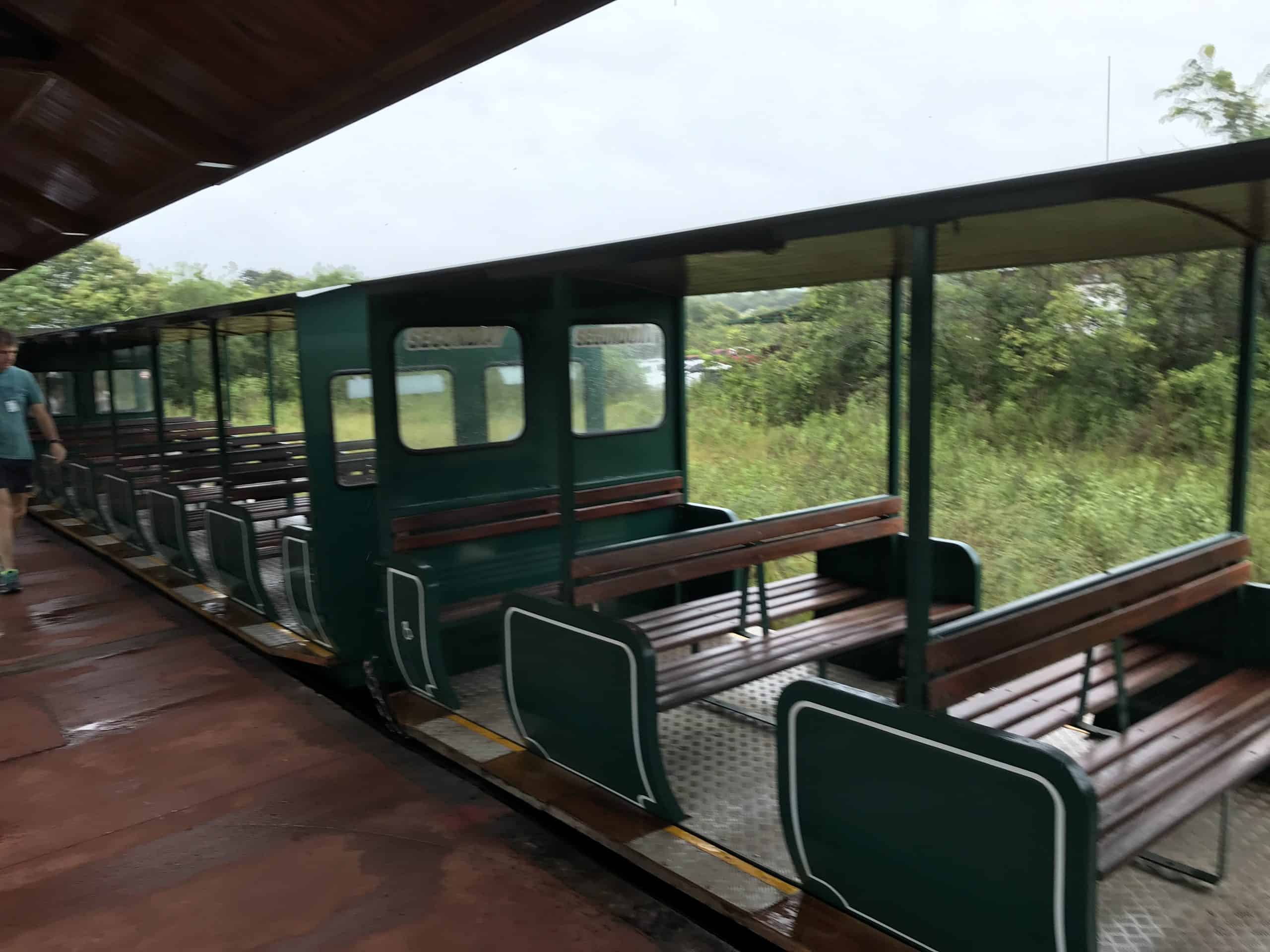 Train to the falls