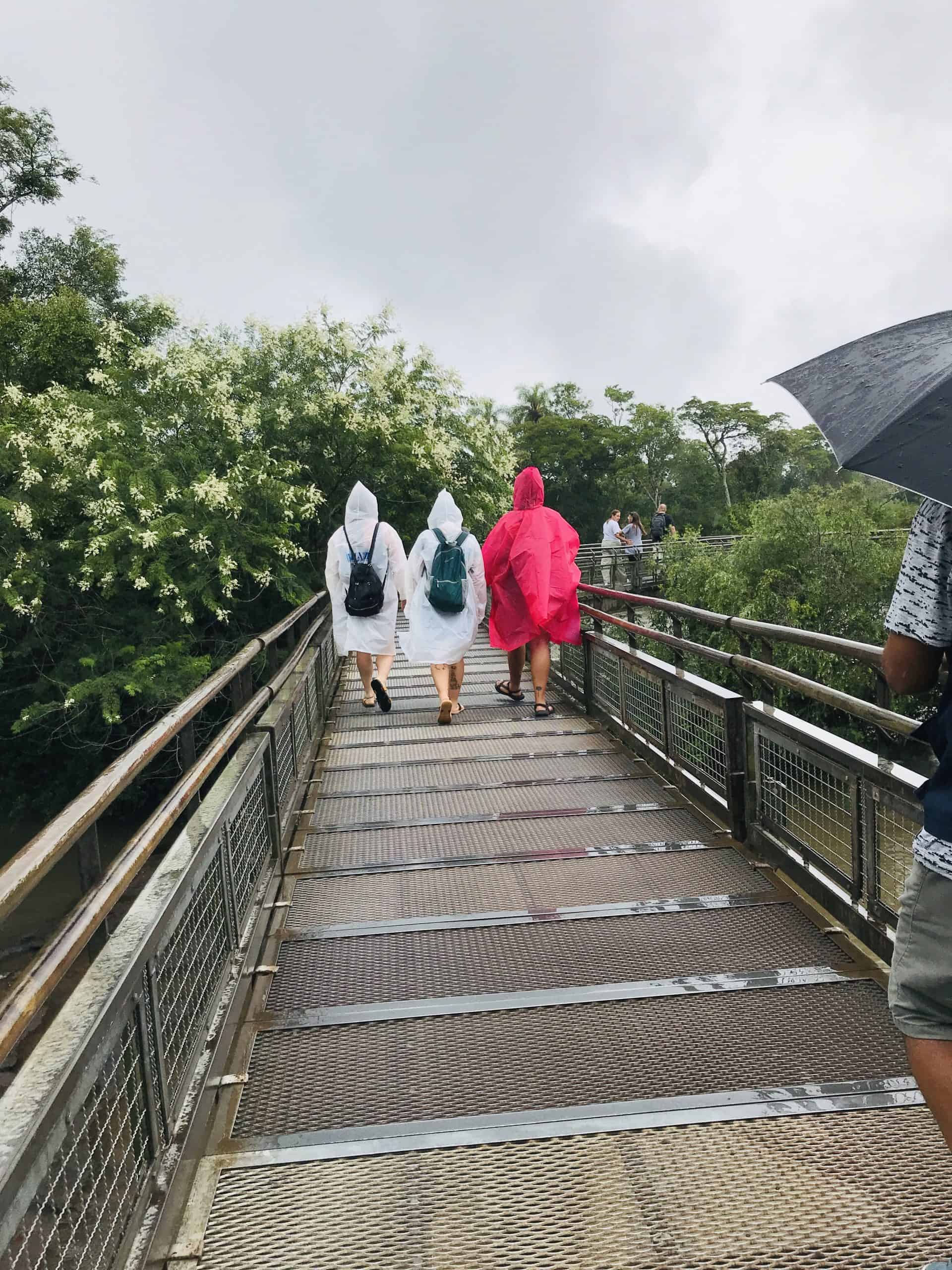 Metal bridges to get to Devils Throat