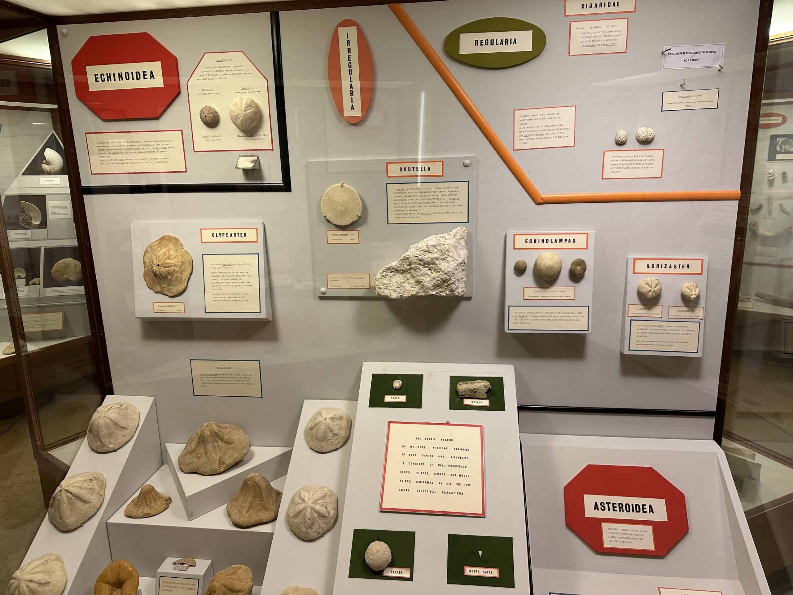 Sea displays