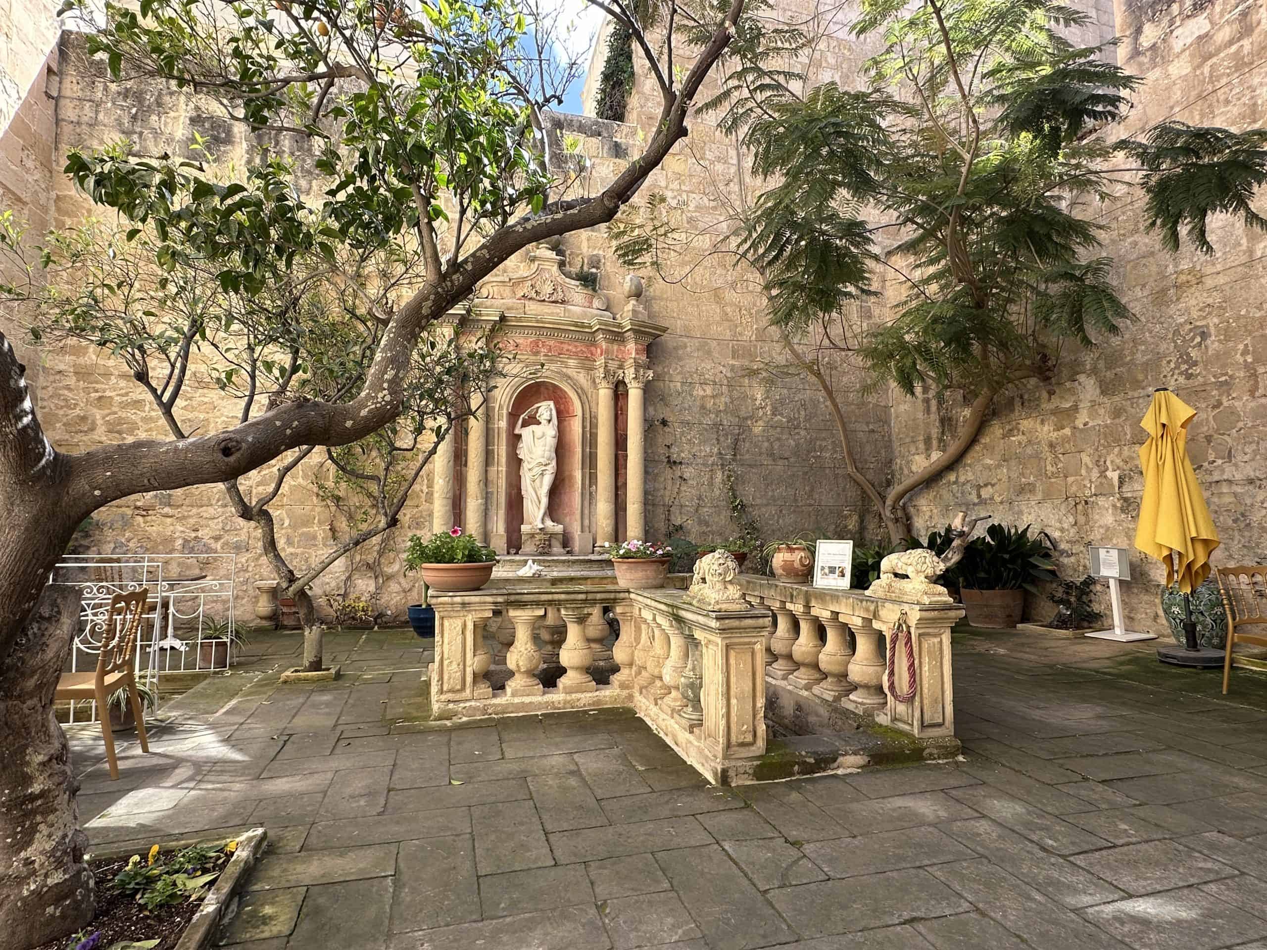 Courtyard garden