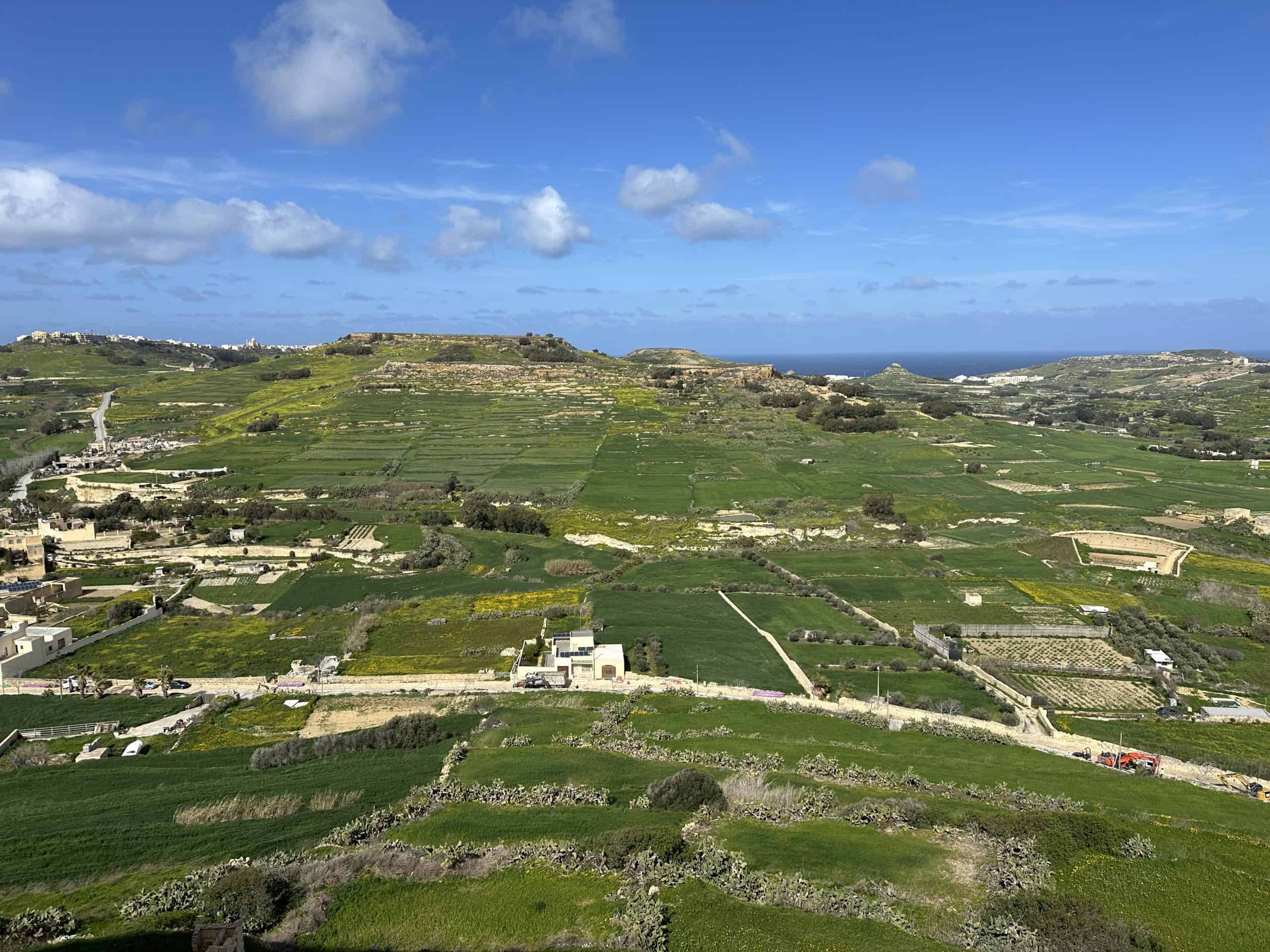 Views from the citadel