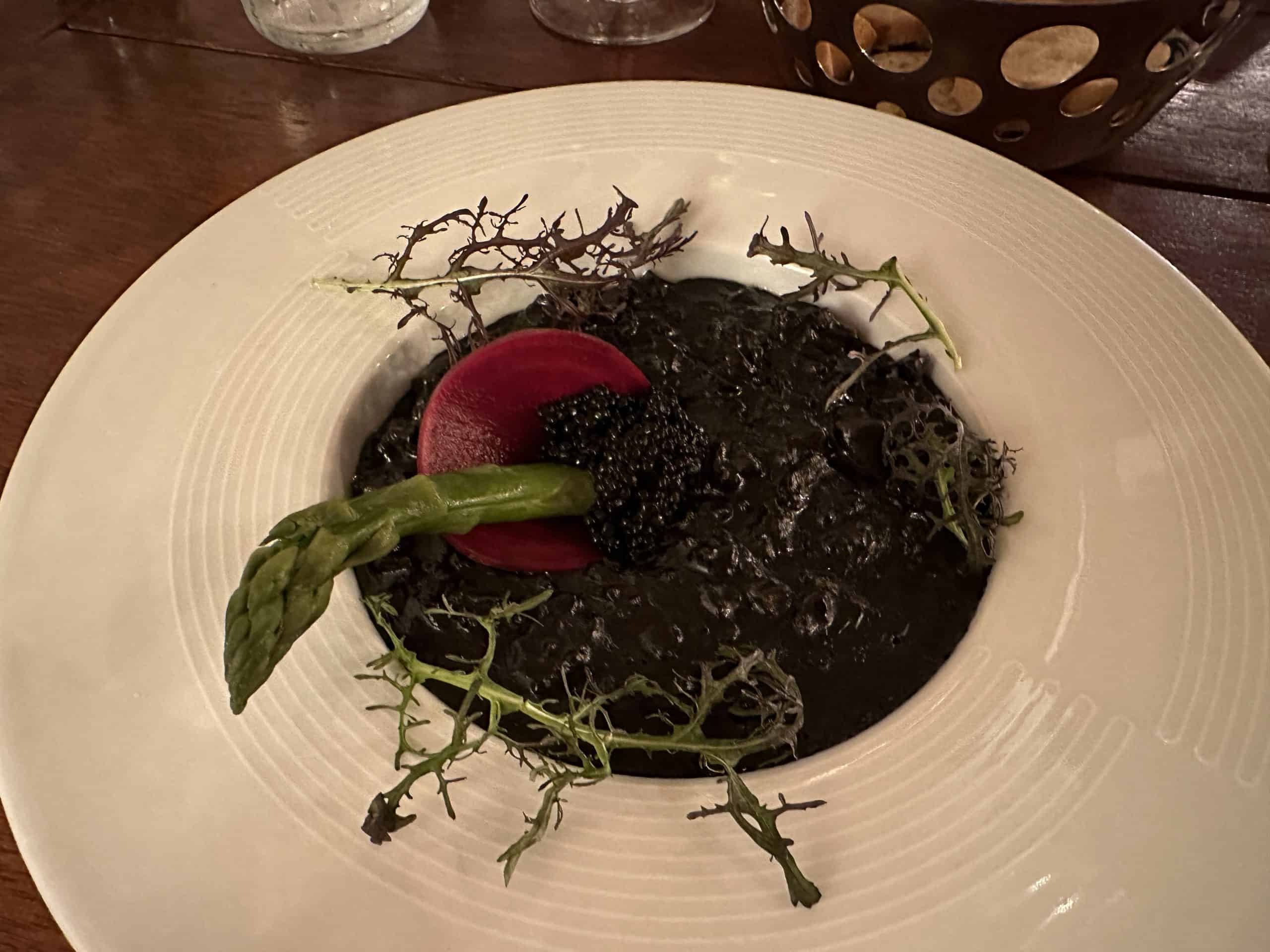 Octopus and chorizo risotto in squid ink