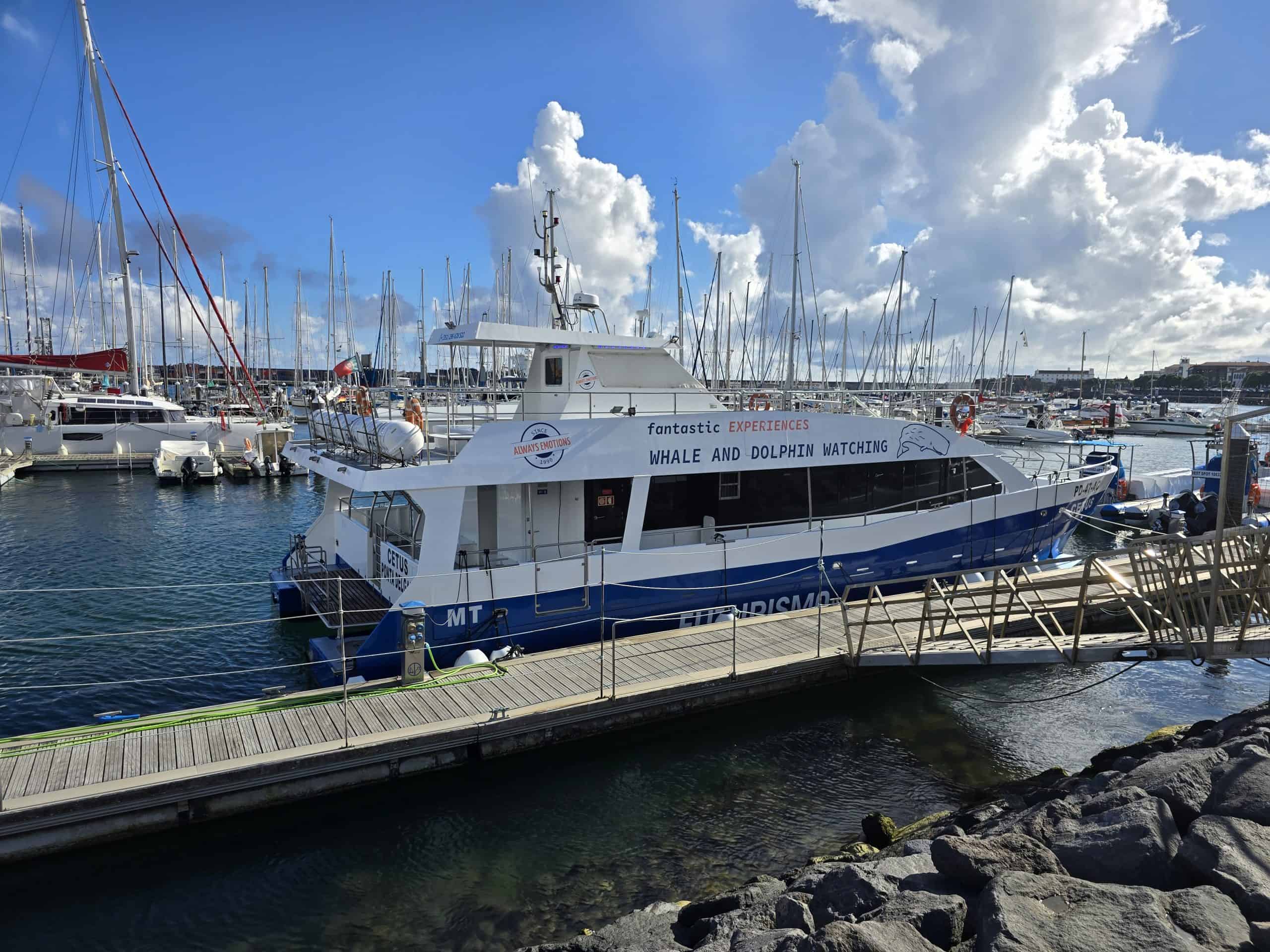 Whale watching boat
