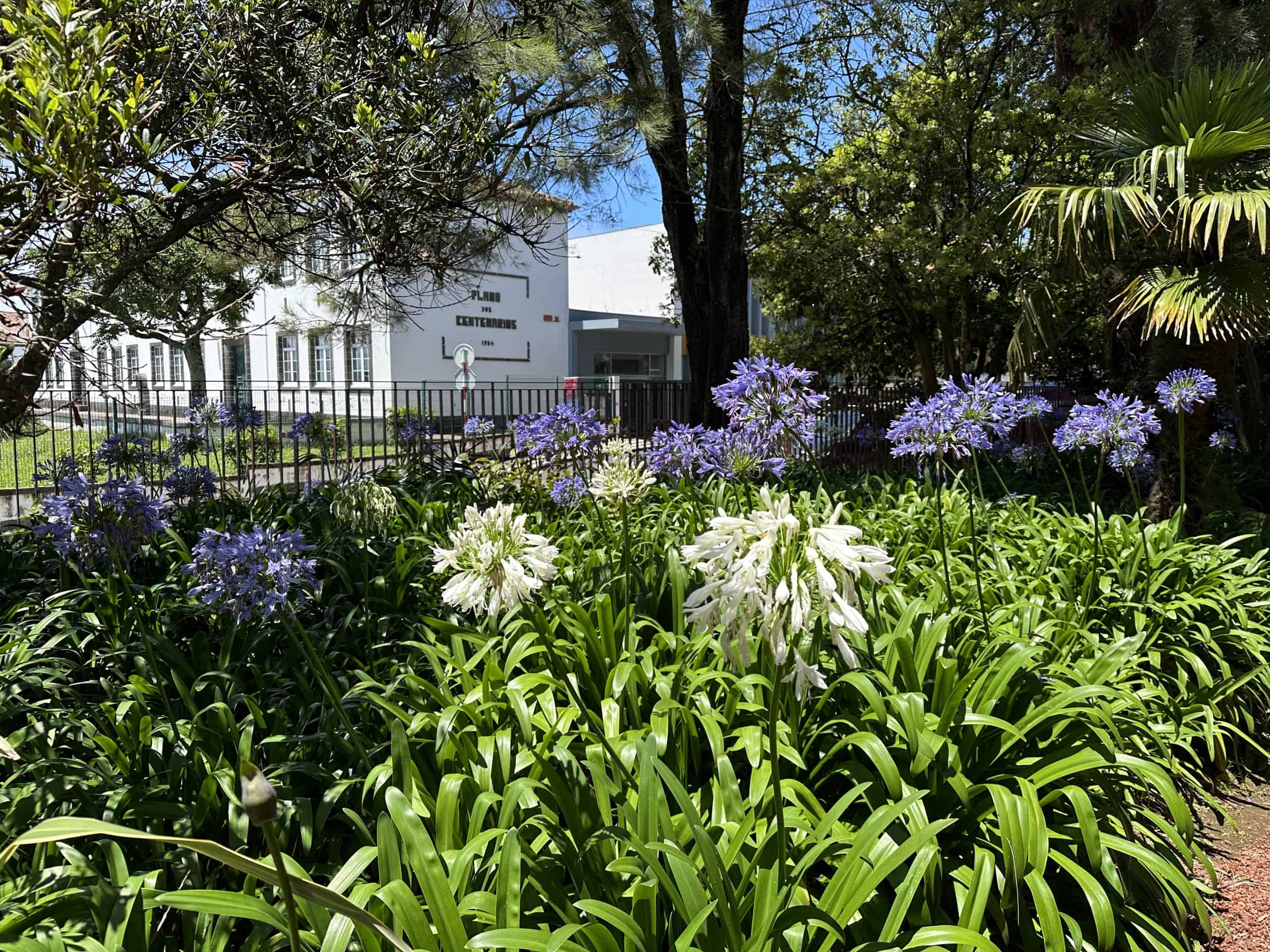 Flowerbeds