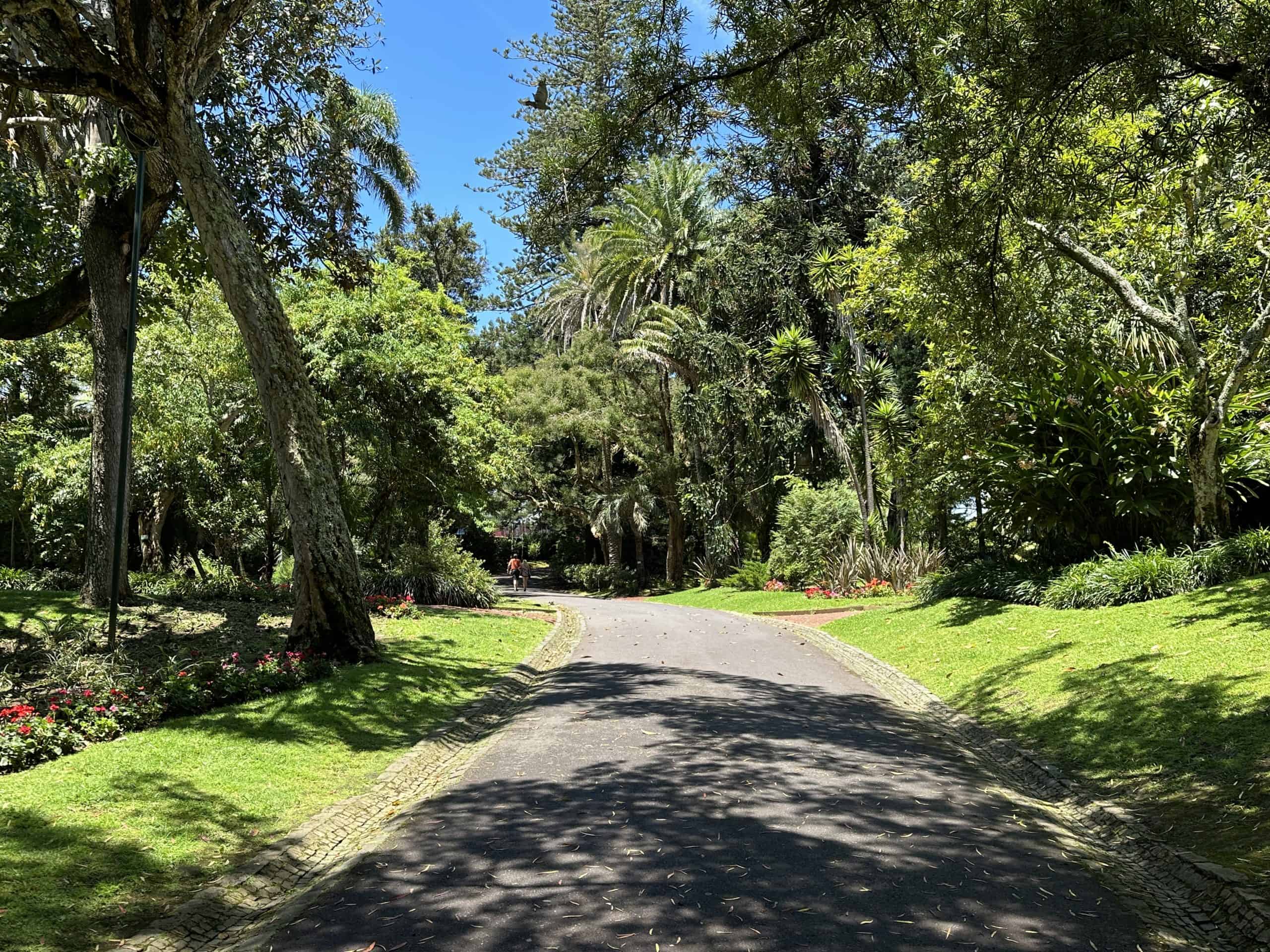 Pathways for walking