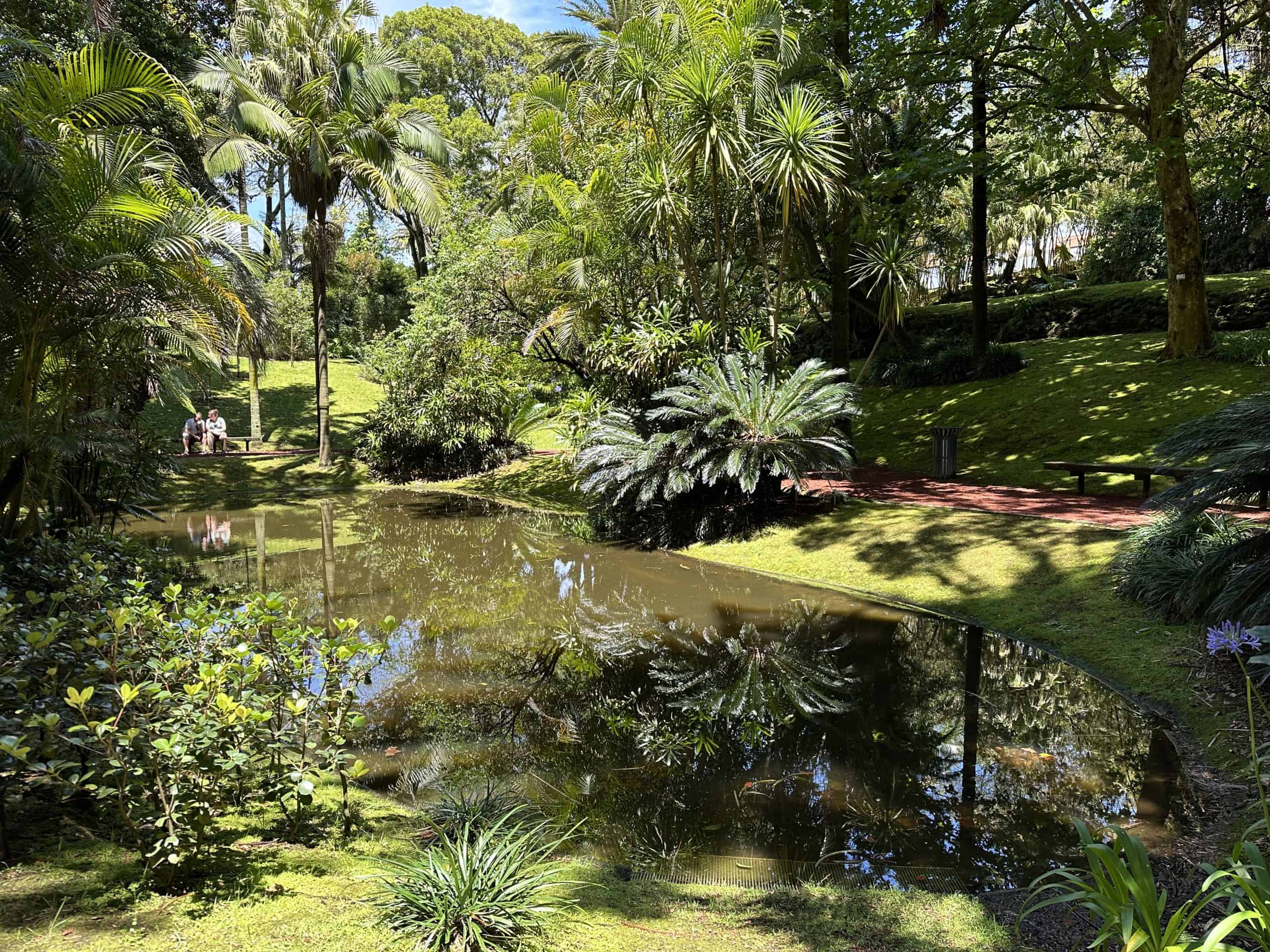 Pond with beautiful landscape
