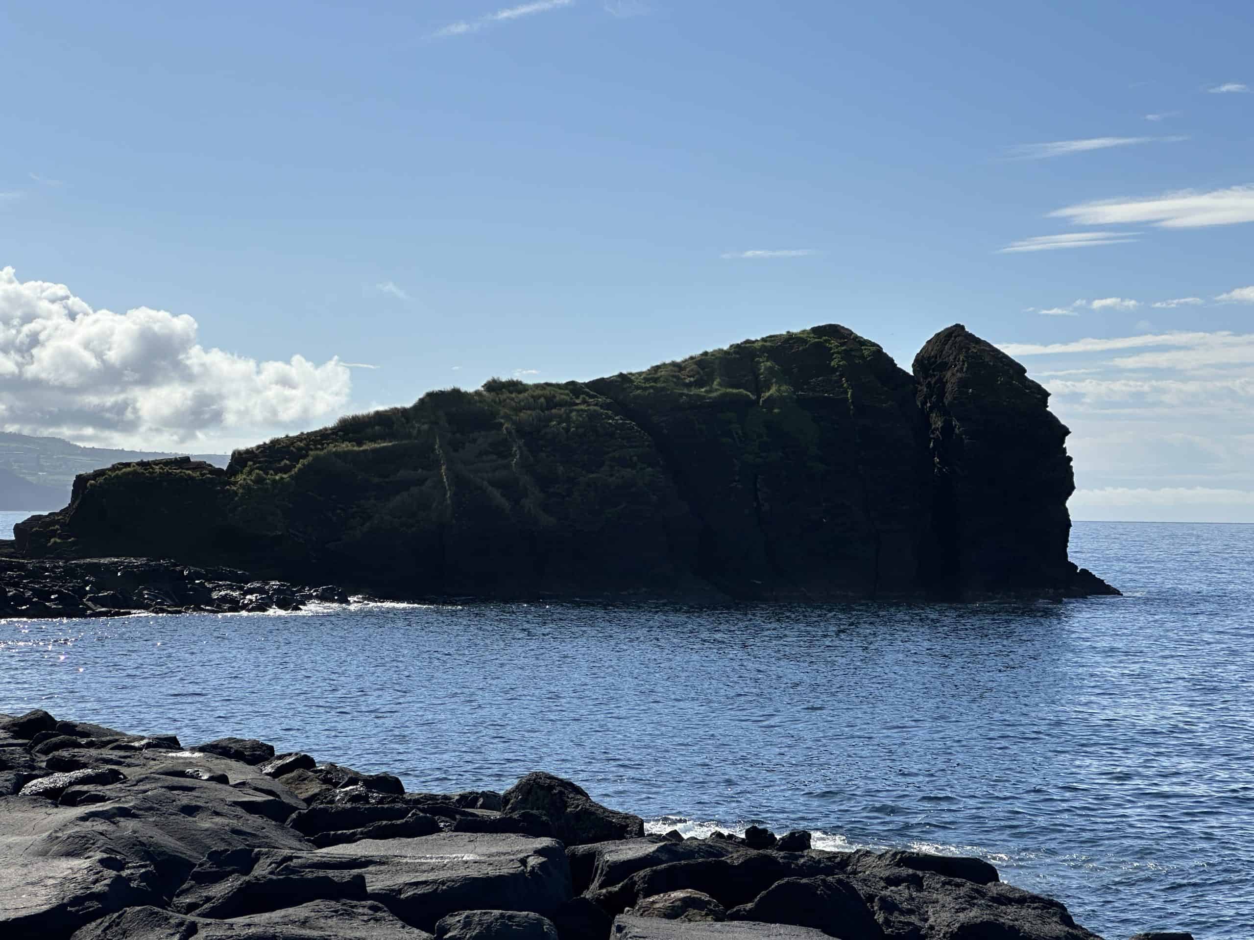 Rock of the Dog
