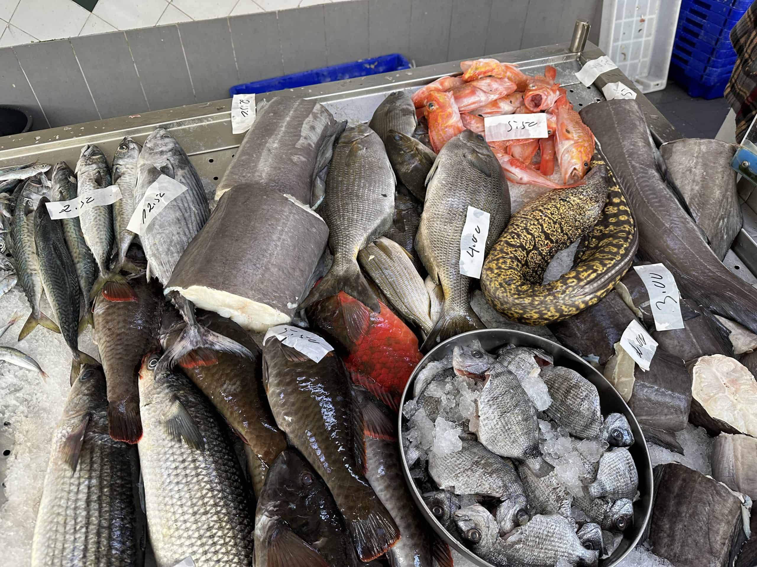 Fresh fish at the market