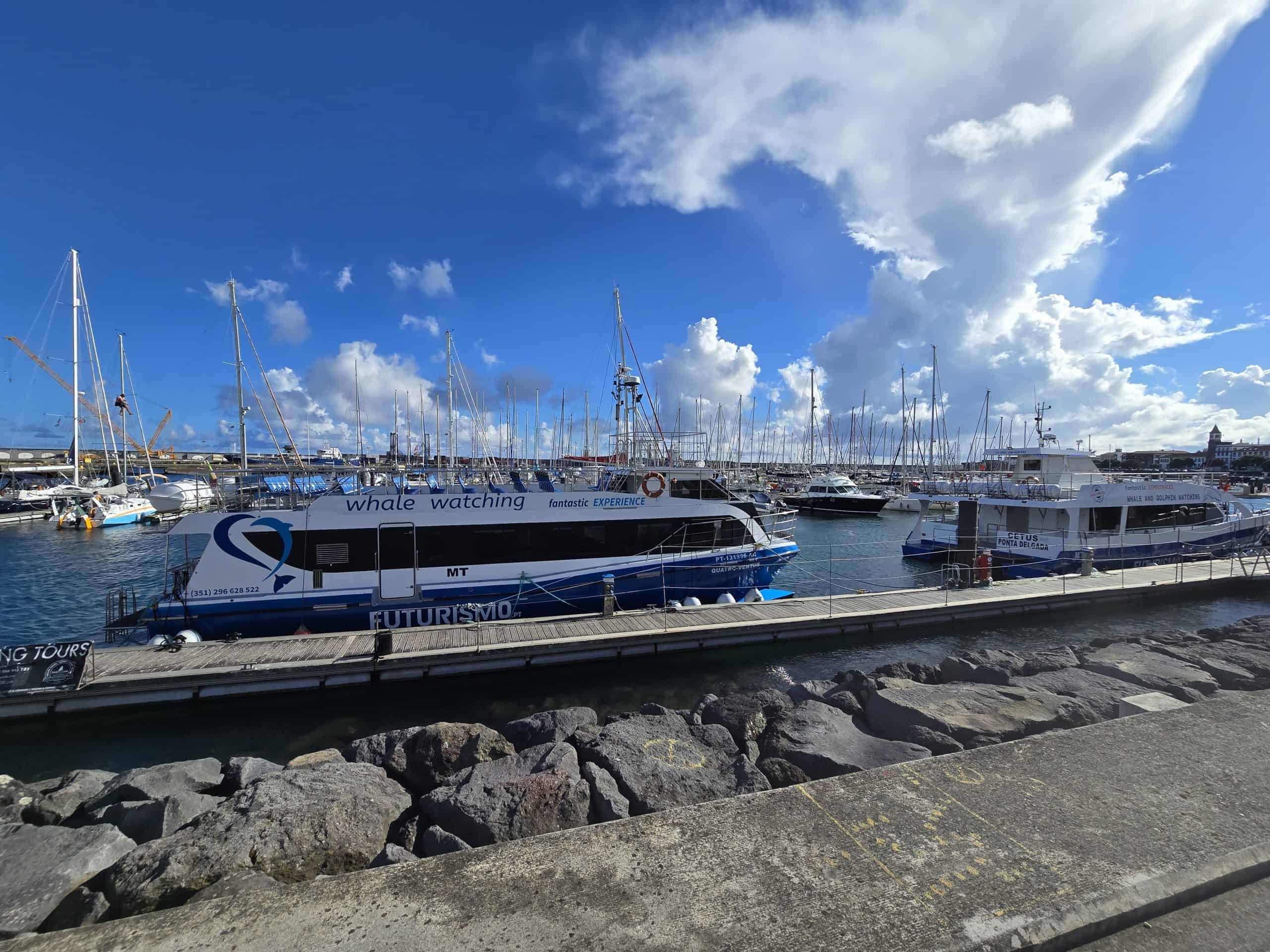 Whale watching boats