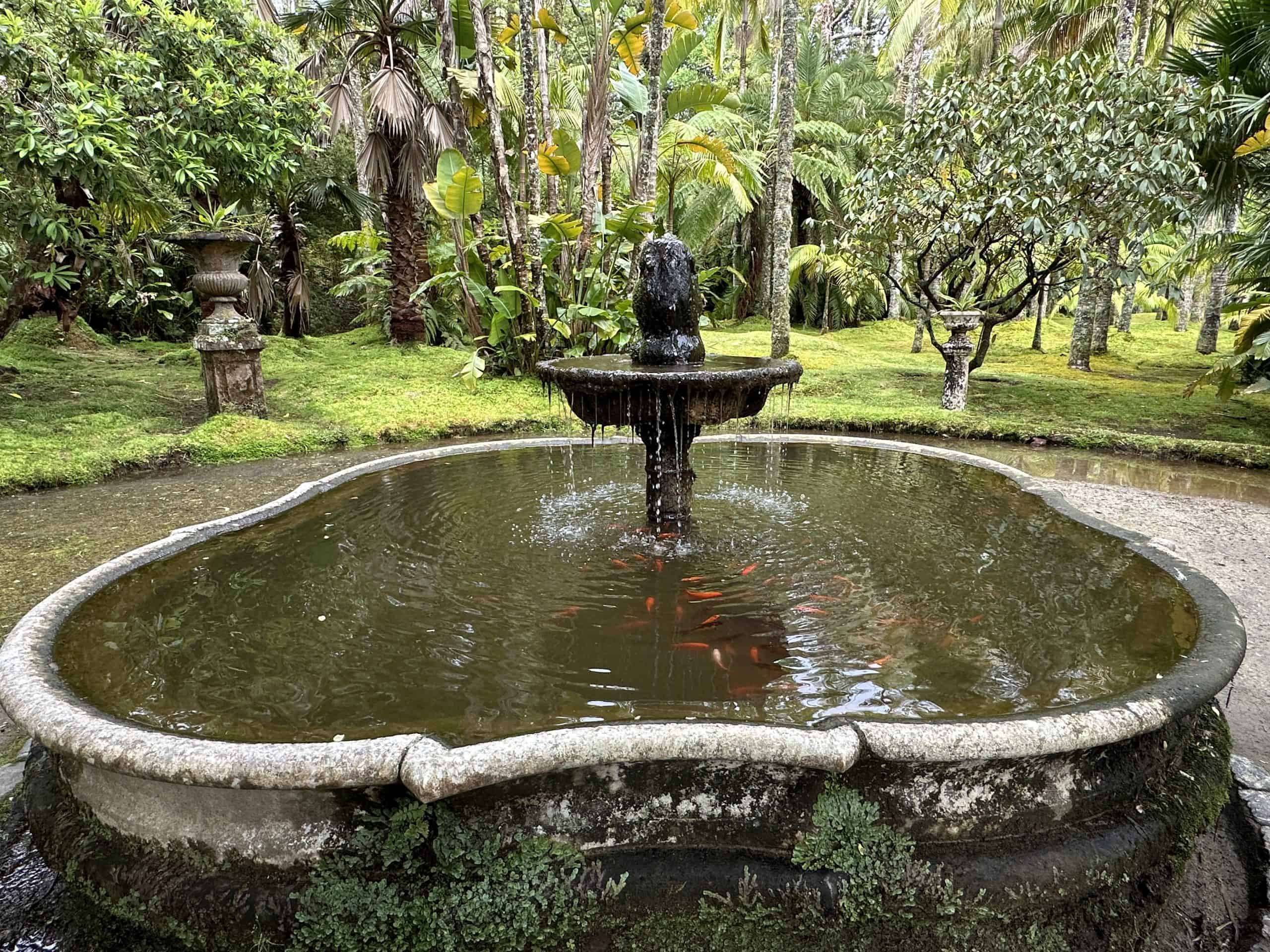 Fountain within the park